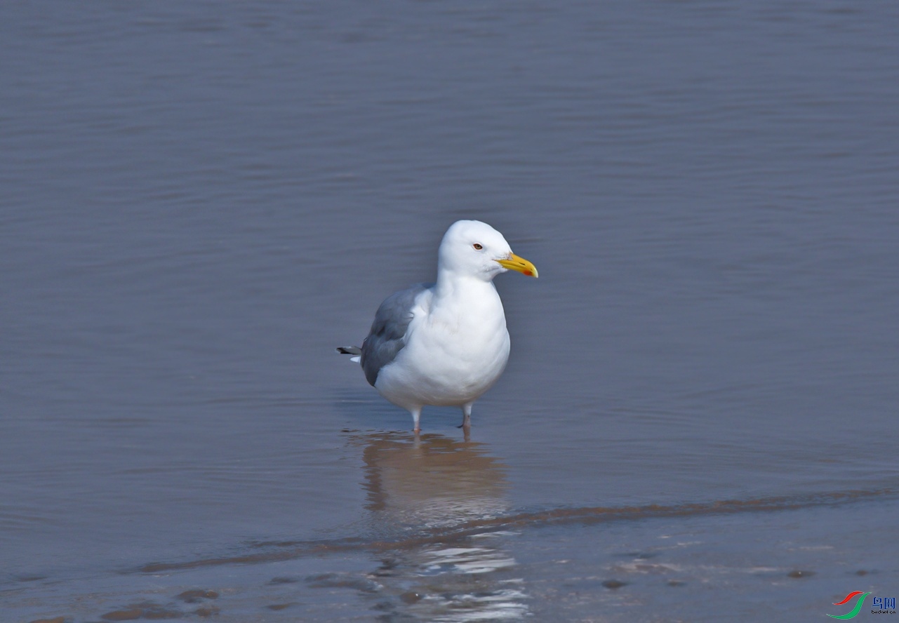 DSC_6283f.jpg