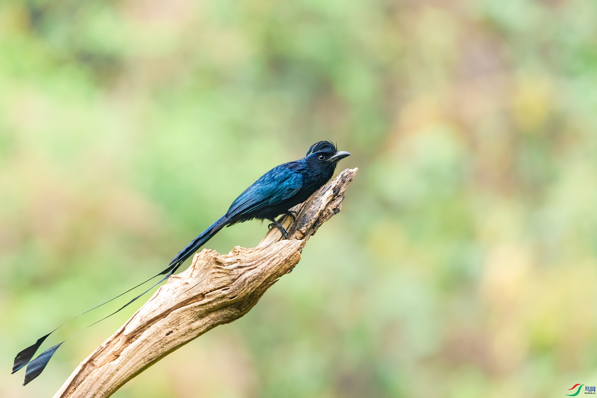 a_70549-1.jpg