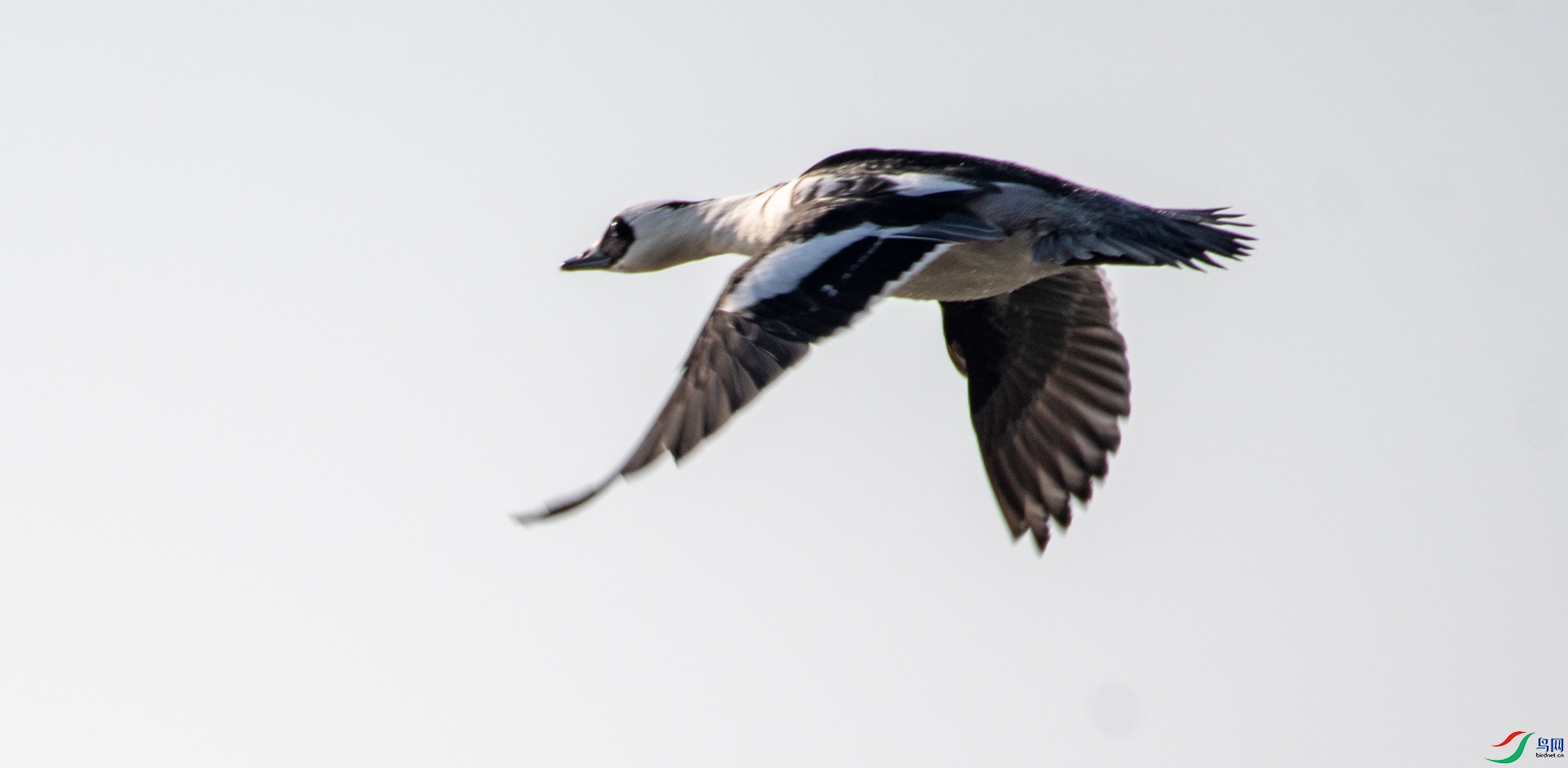 DSC_4308.jpg