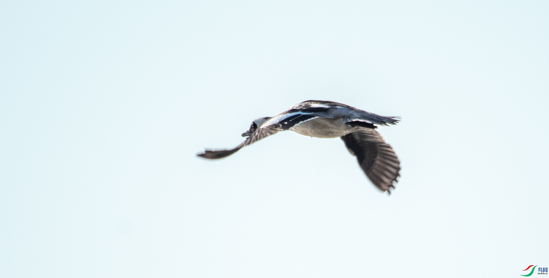 DSC_4313.jpg