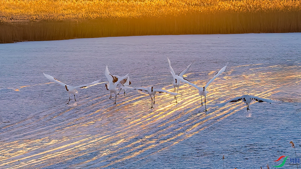 hljzlR231212 (2004)_DxO.jpg