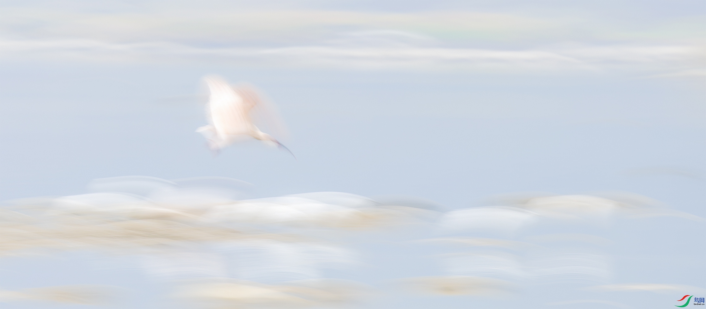 DSC_4357_DxO.jpg