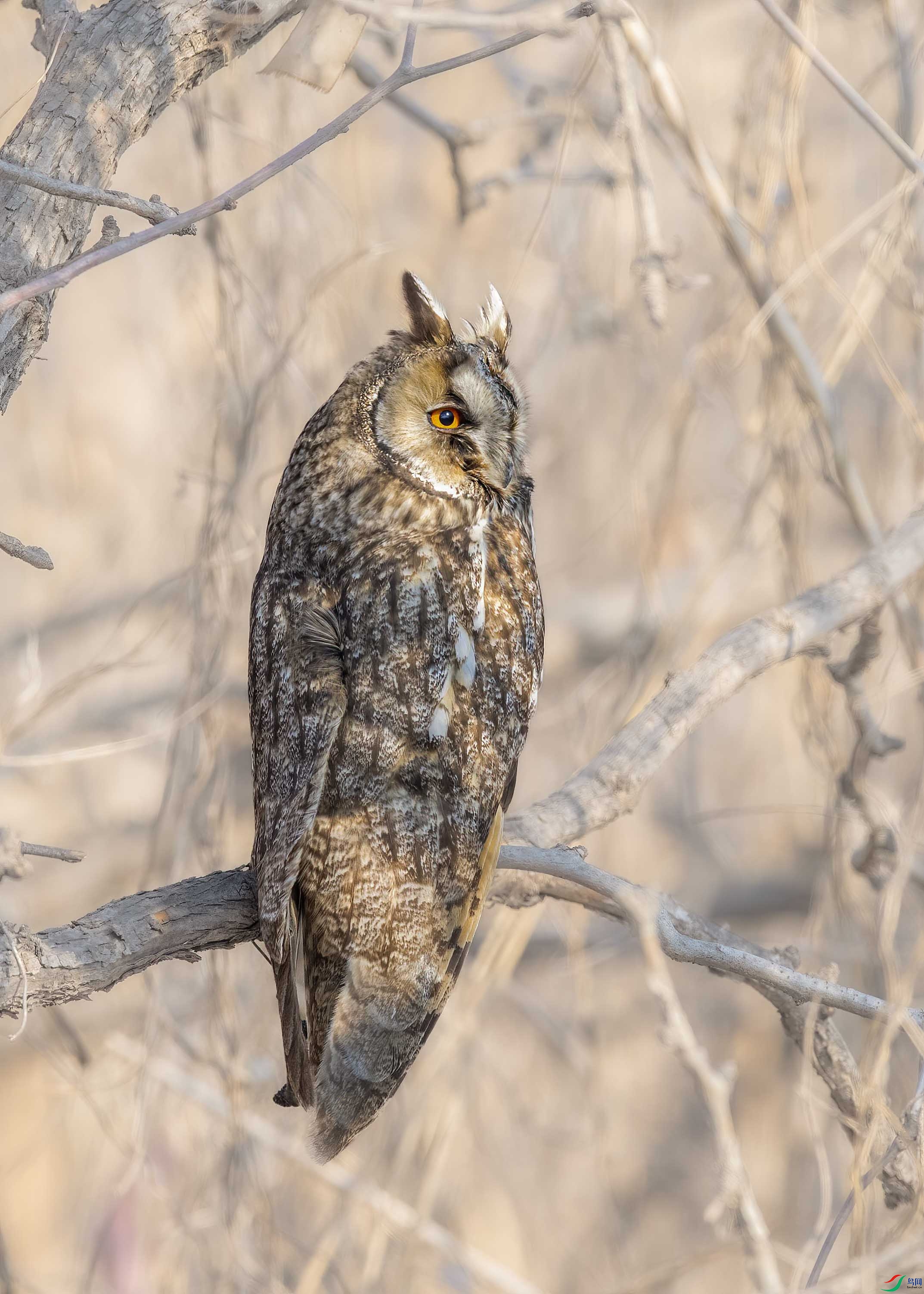 DSC_7022 ����.jpg