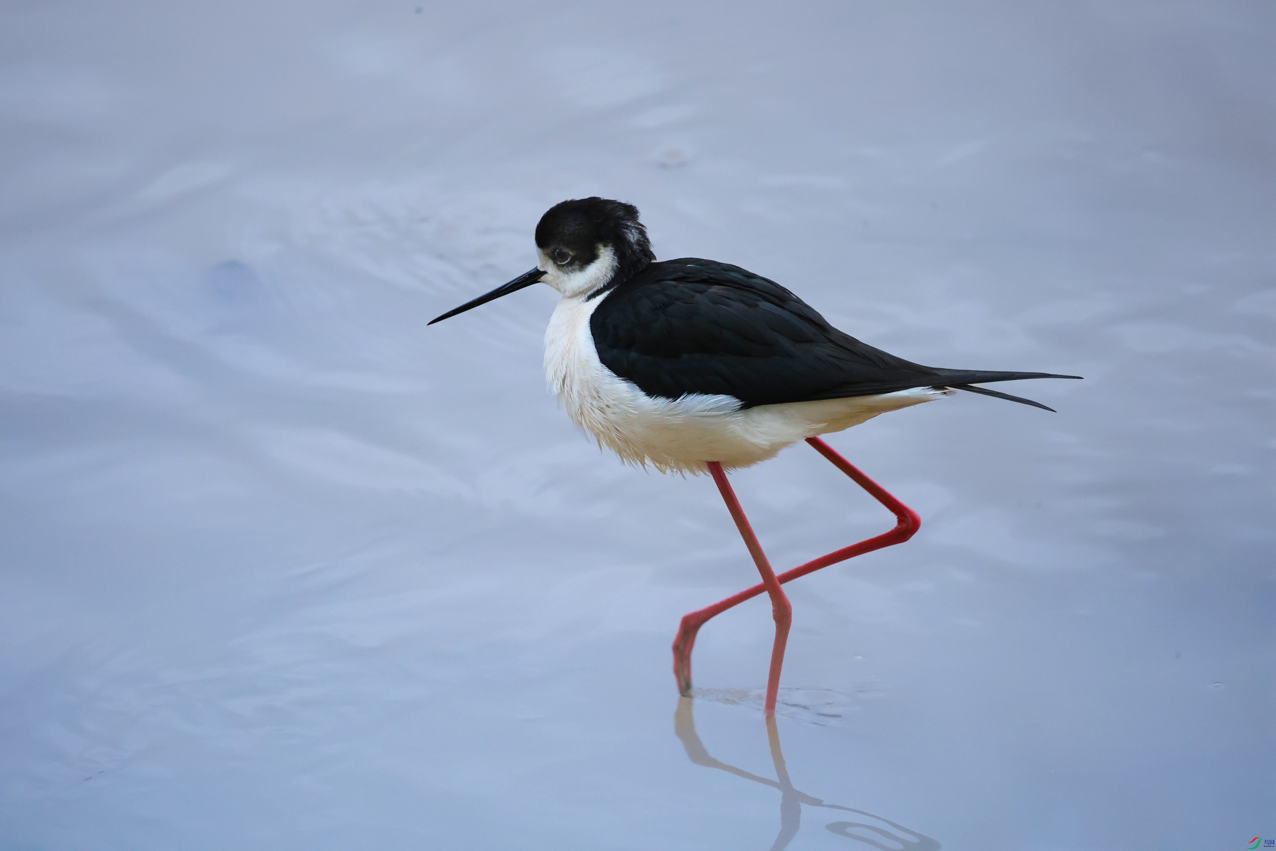 7X5A0558 - ����.JPG