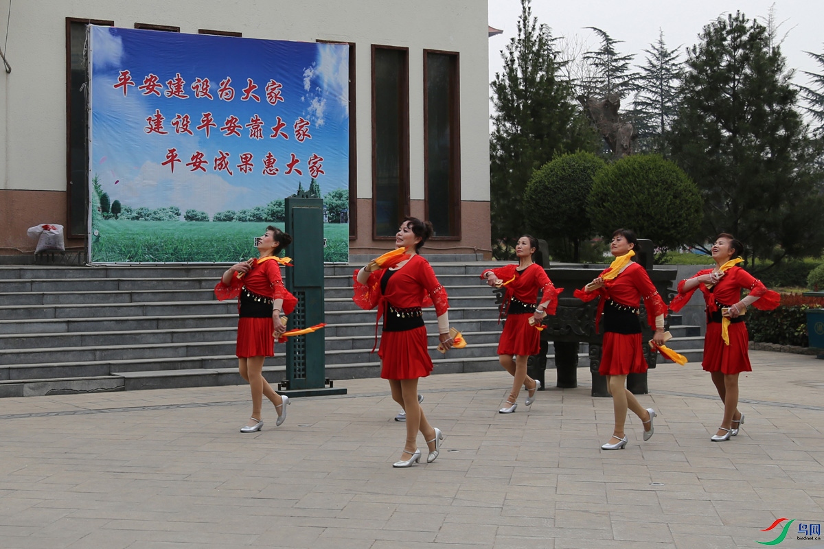 IMG_2379.jpg