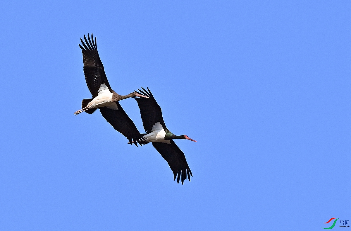 DSC_0410.JPG