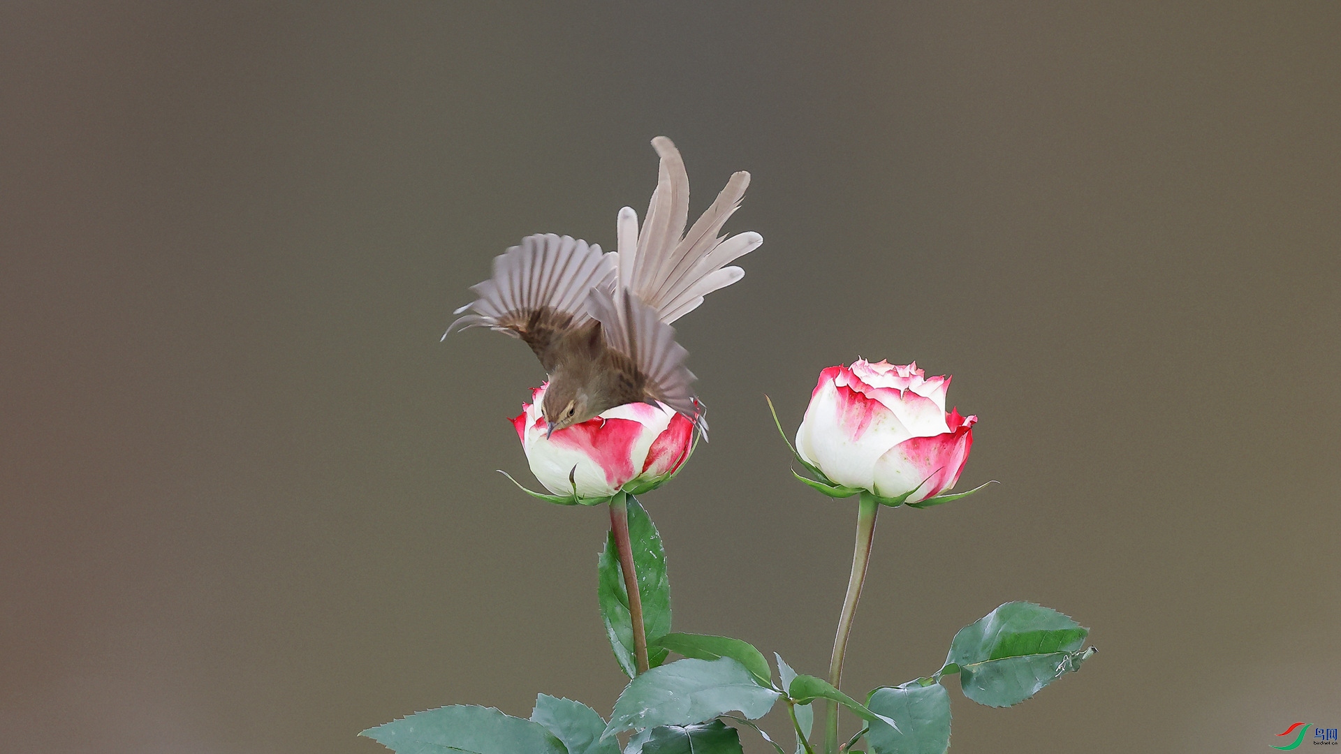 1M6A2223 ����_����.jpg