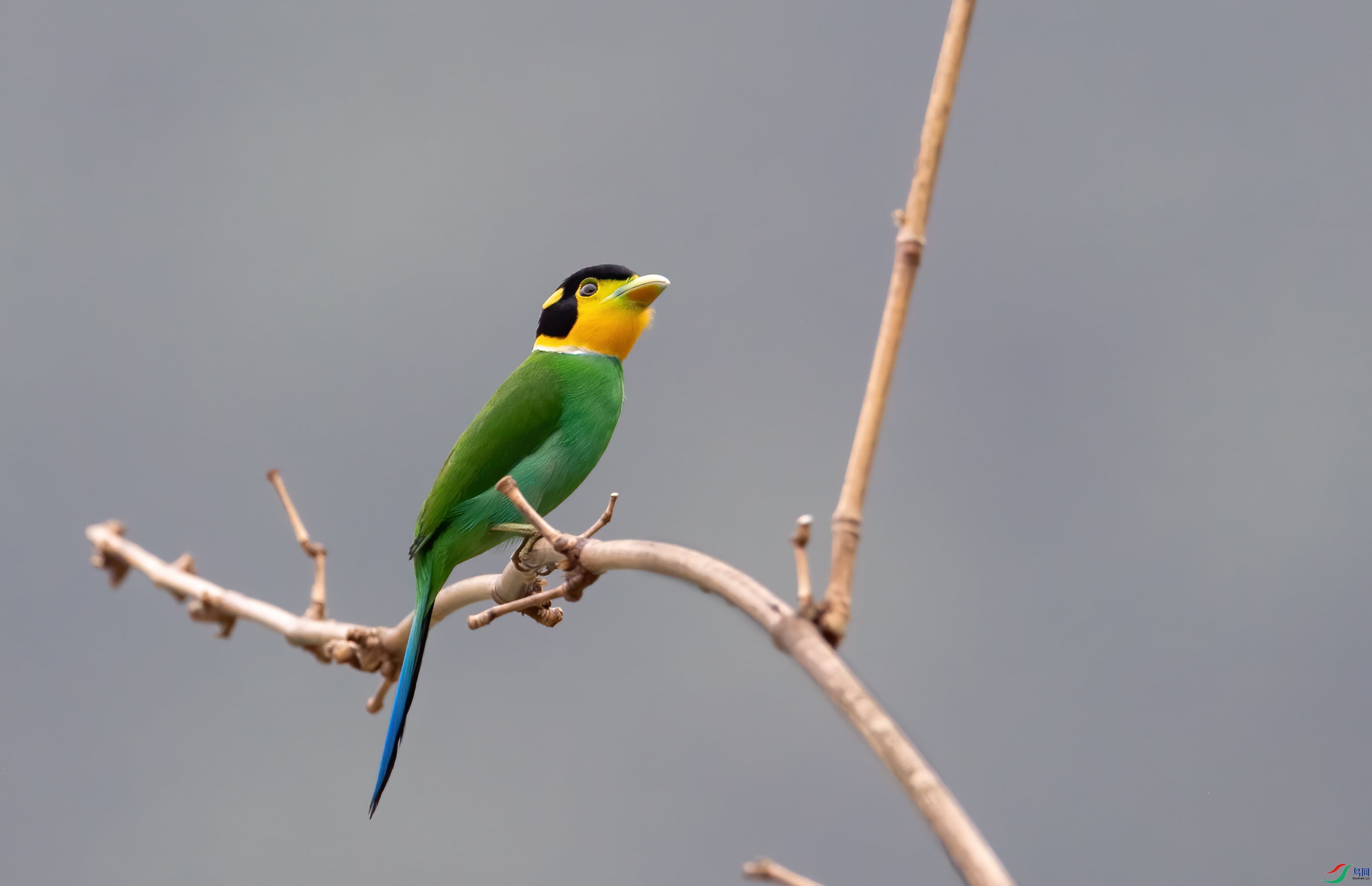 DSC_2664-1.jpg