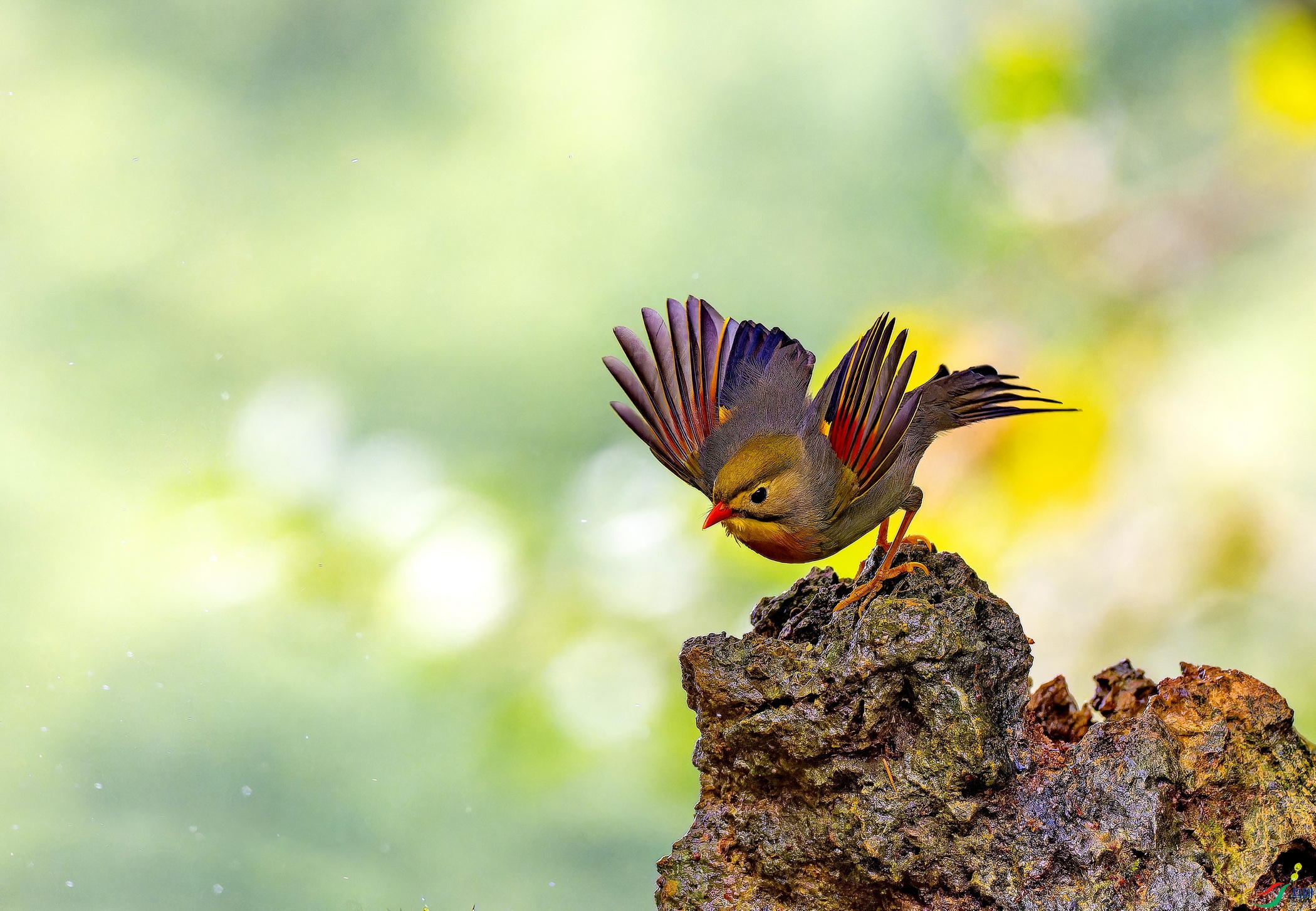 ������˼�� -16.jpg