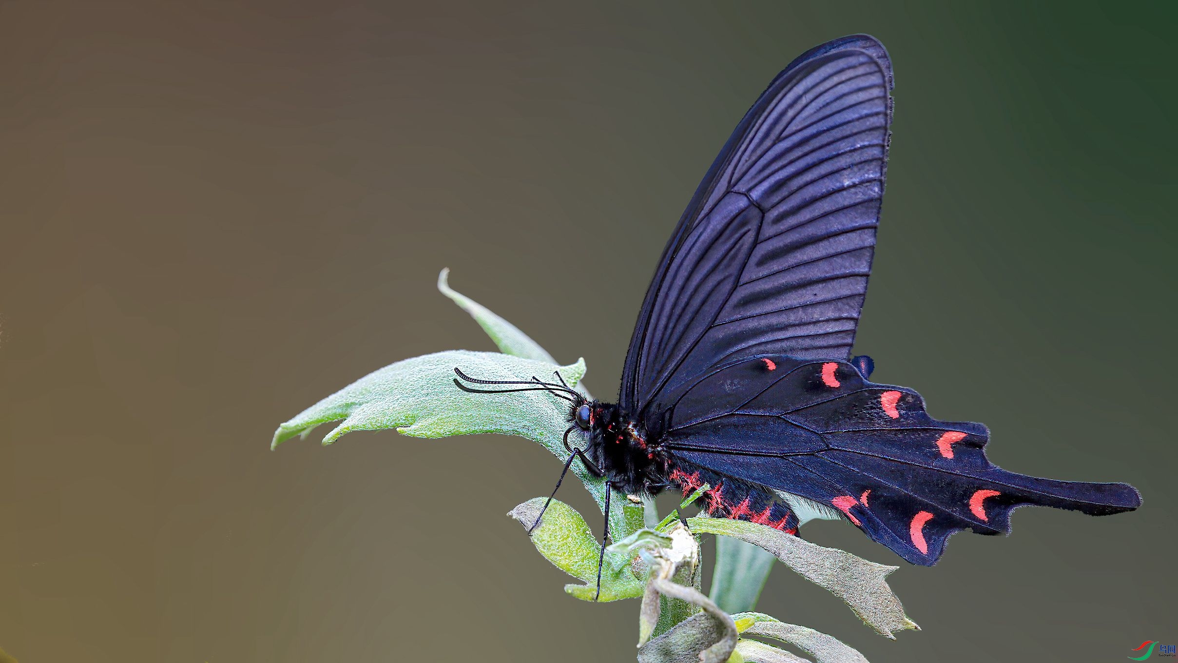 7G9A8352-2_����.jpg