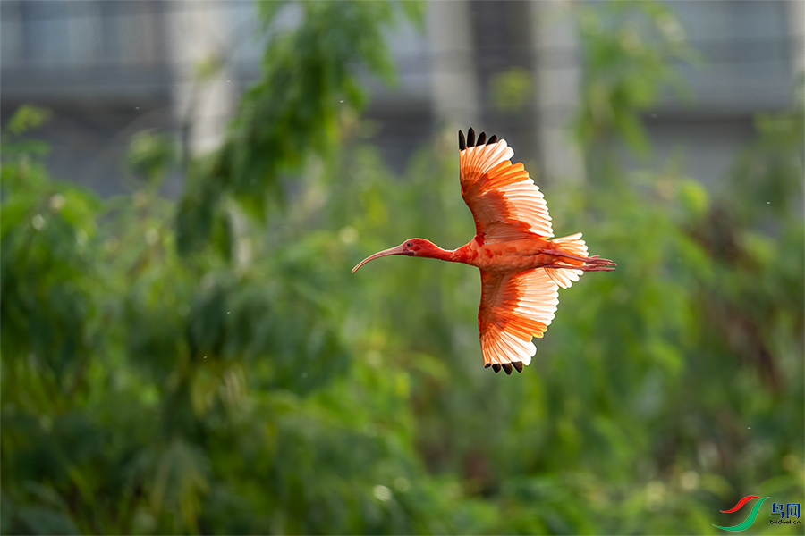 DSC09917.png   001.png