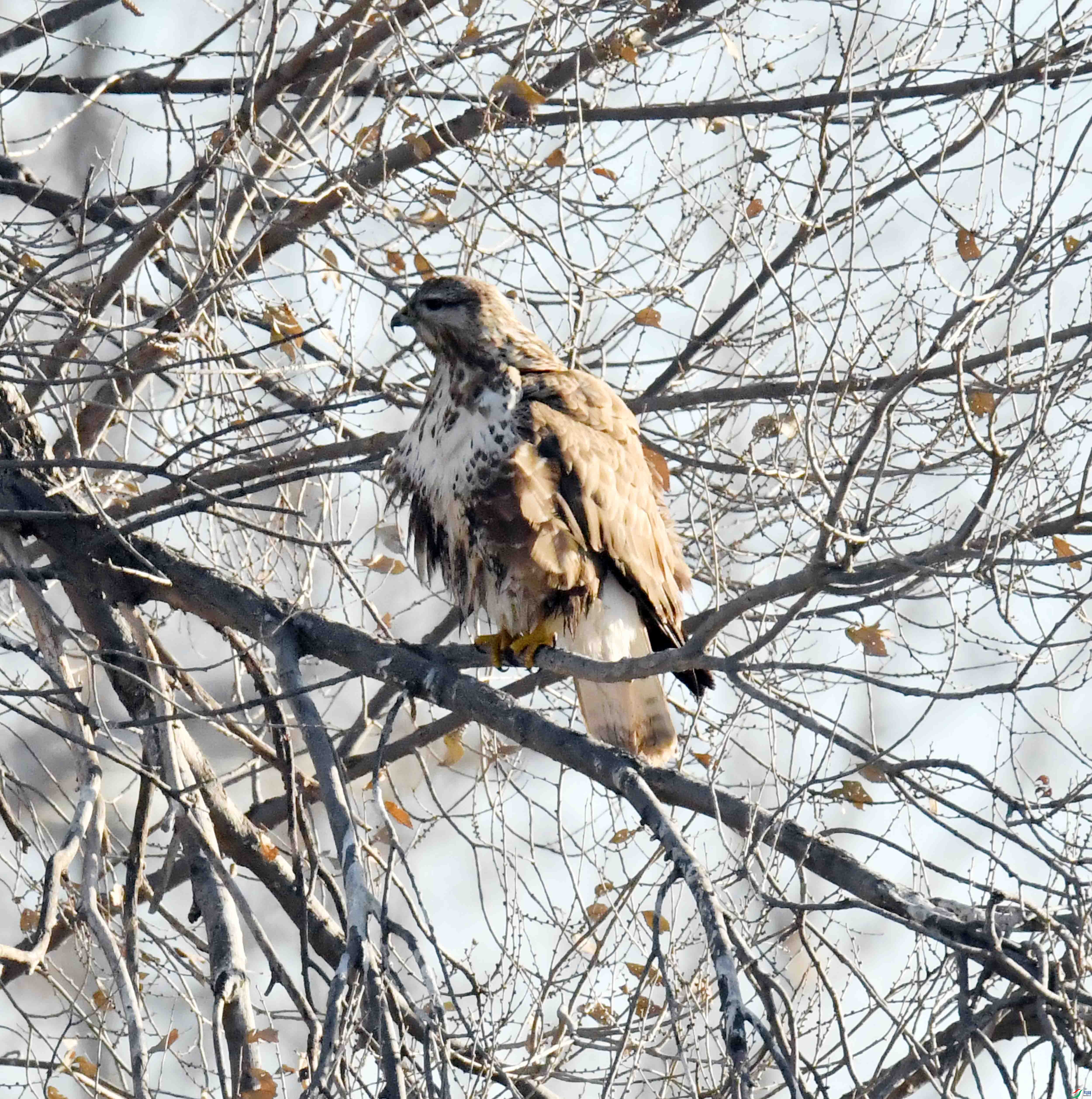 DSC_5429.JPG