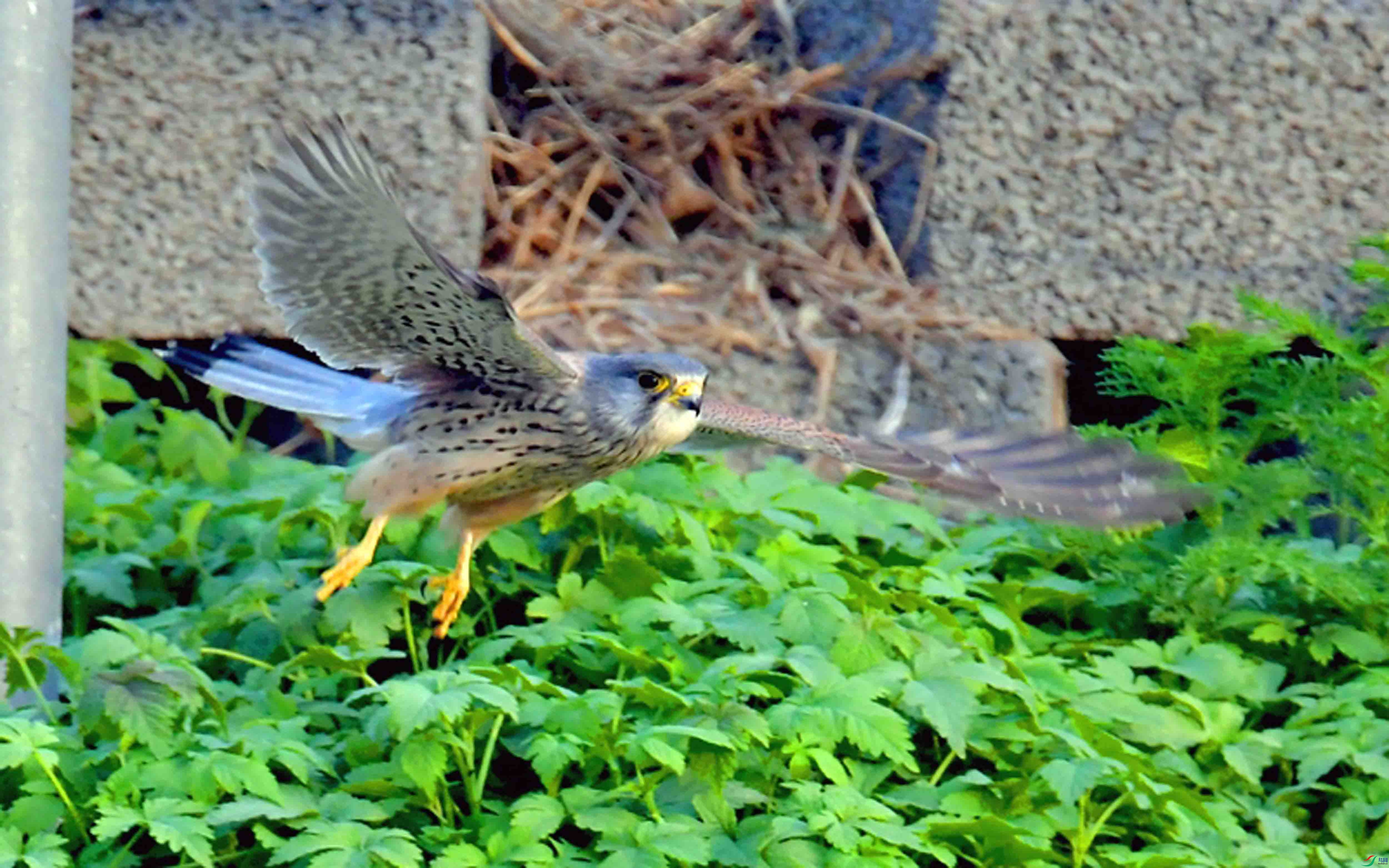 DSC_5011_��ͼ��.jpg