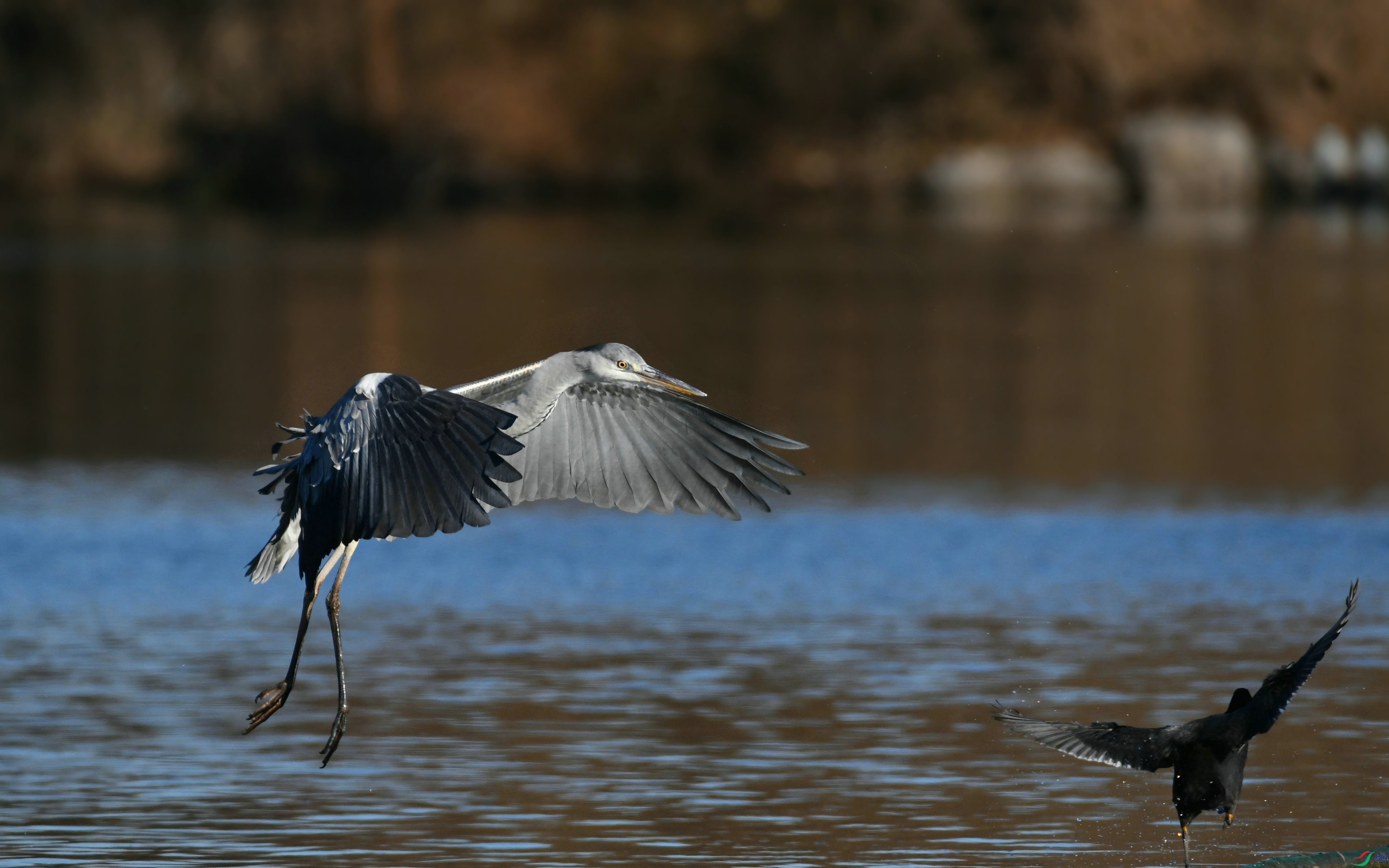 DSC_1157.JPG
