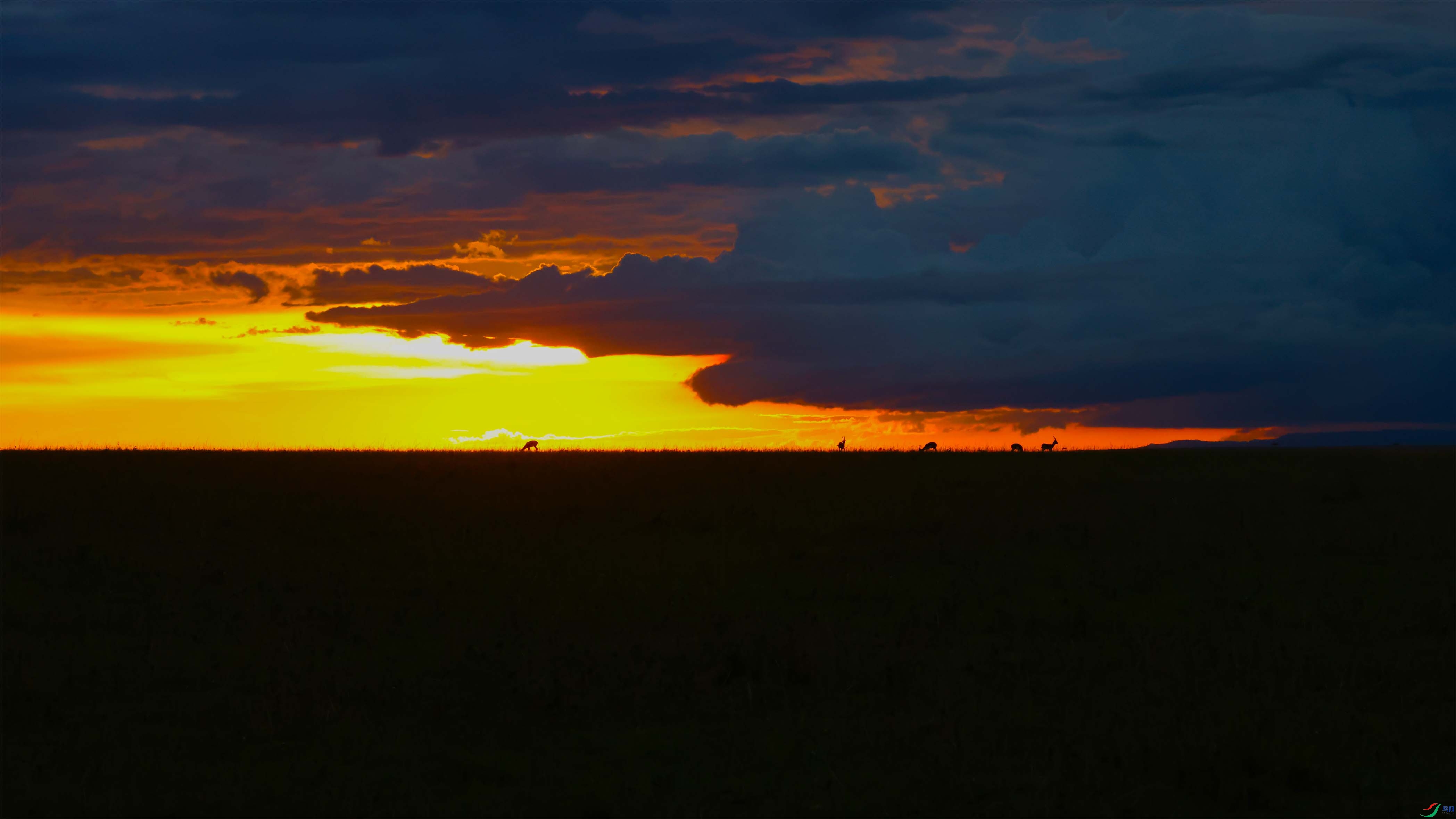 Ư�������� ����.jpg