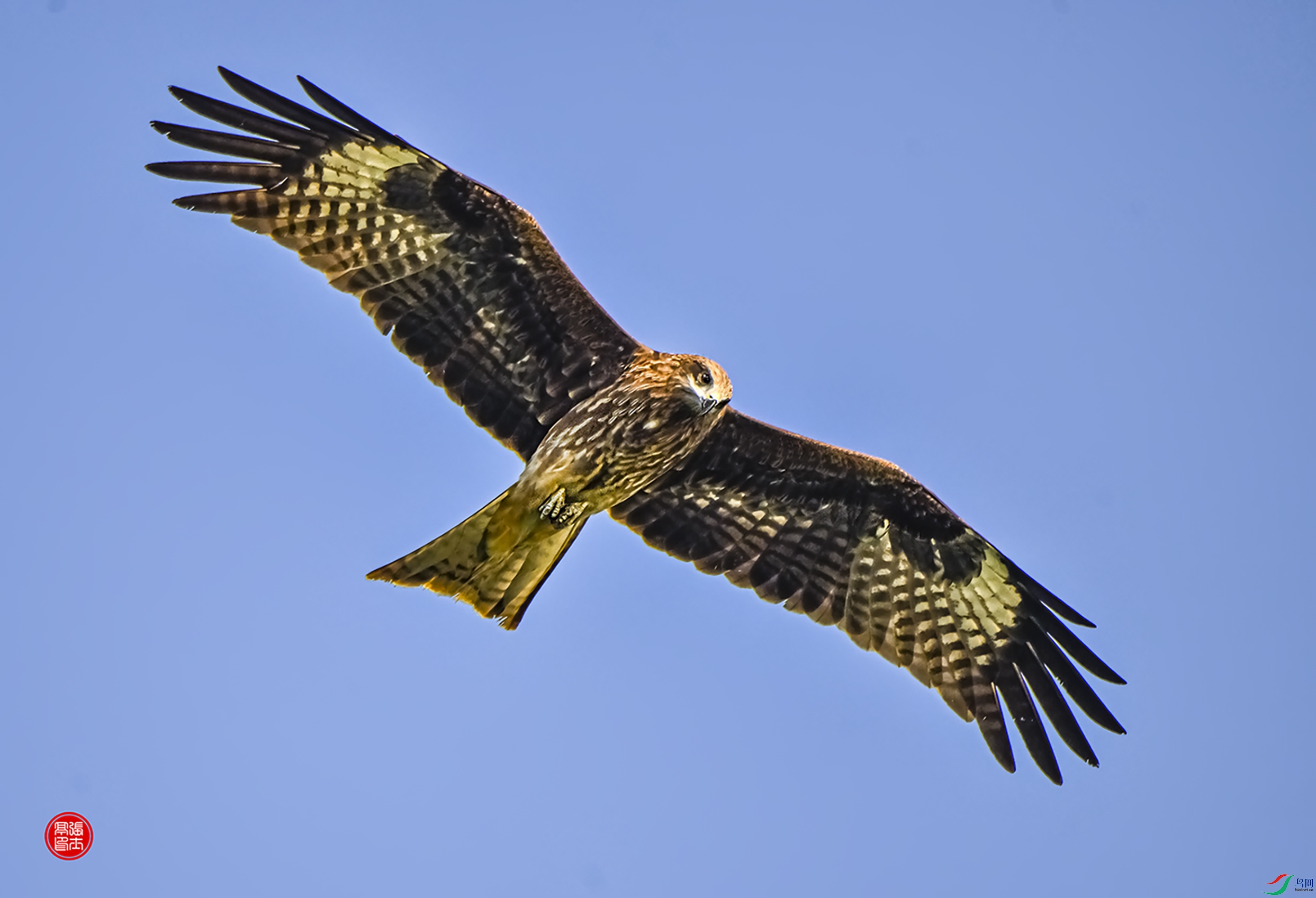 _DSC0085-5-5.jpg