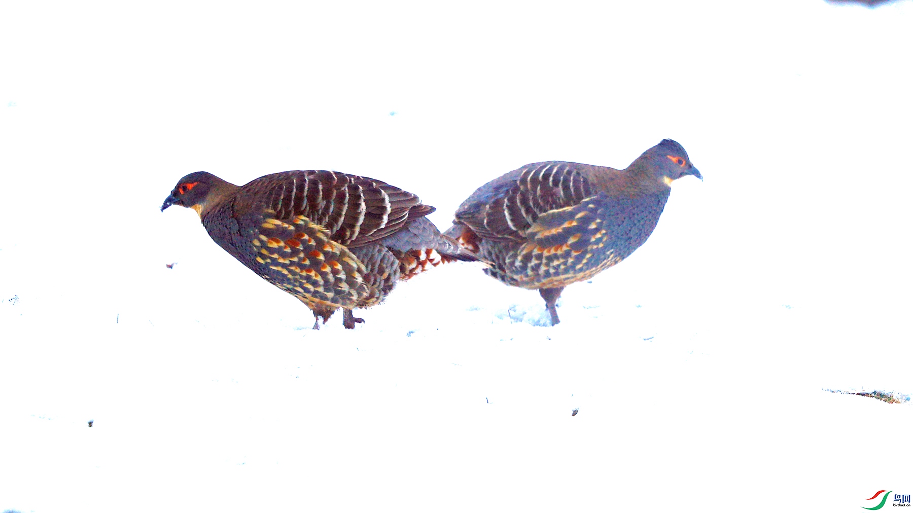C38I3602_����.jpg
