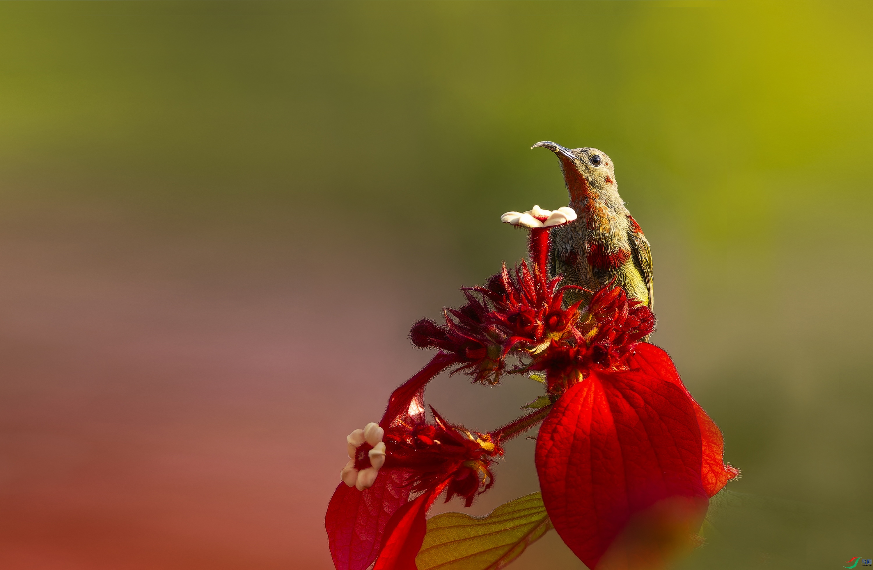 ����̫���� -6.jpg