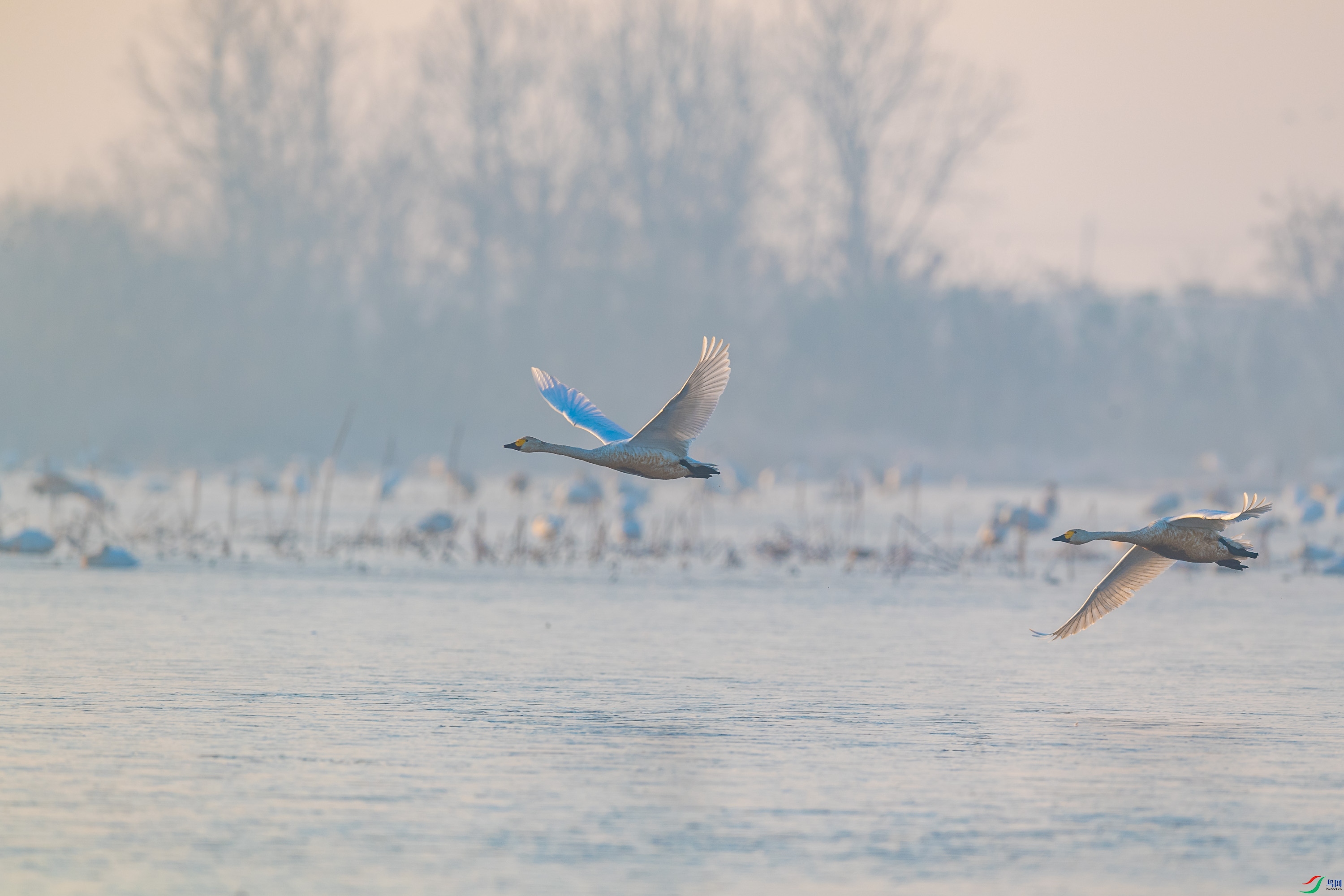 DSC_6404.jpg
