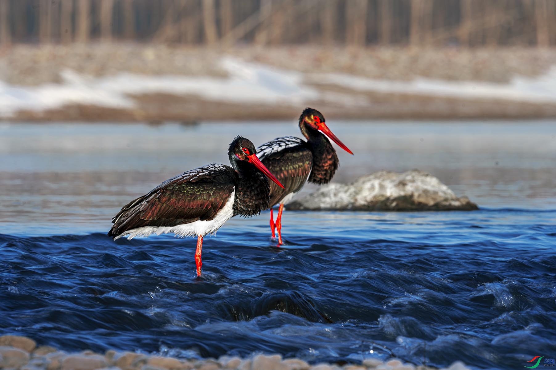 ��ˮһ��