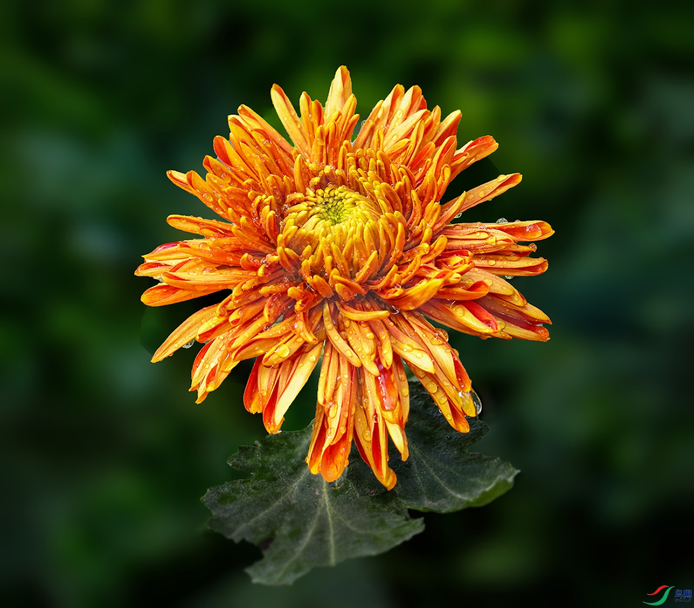 0000IMG_0863 ���̨ 1000k.jpg