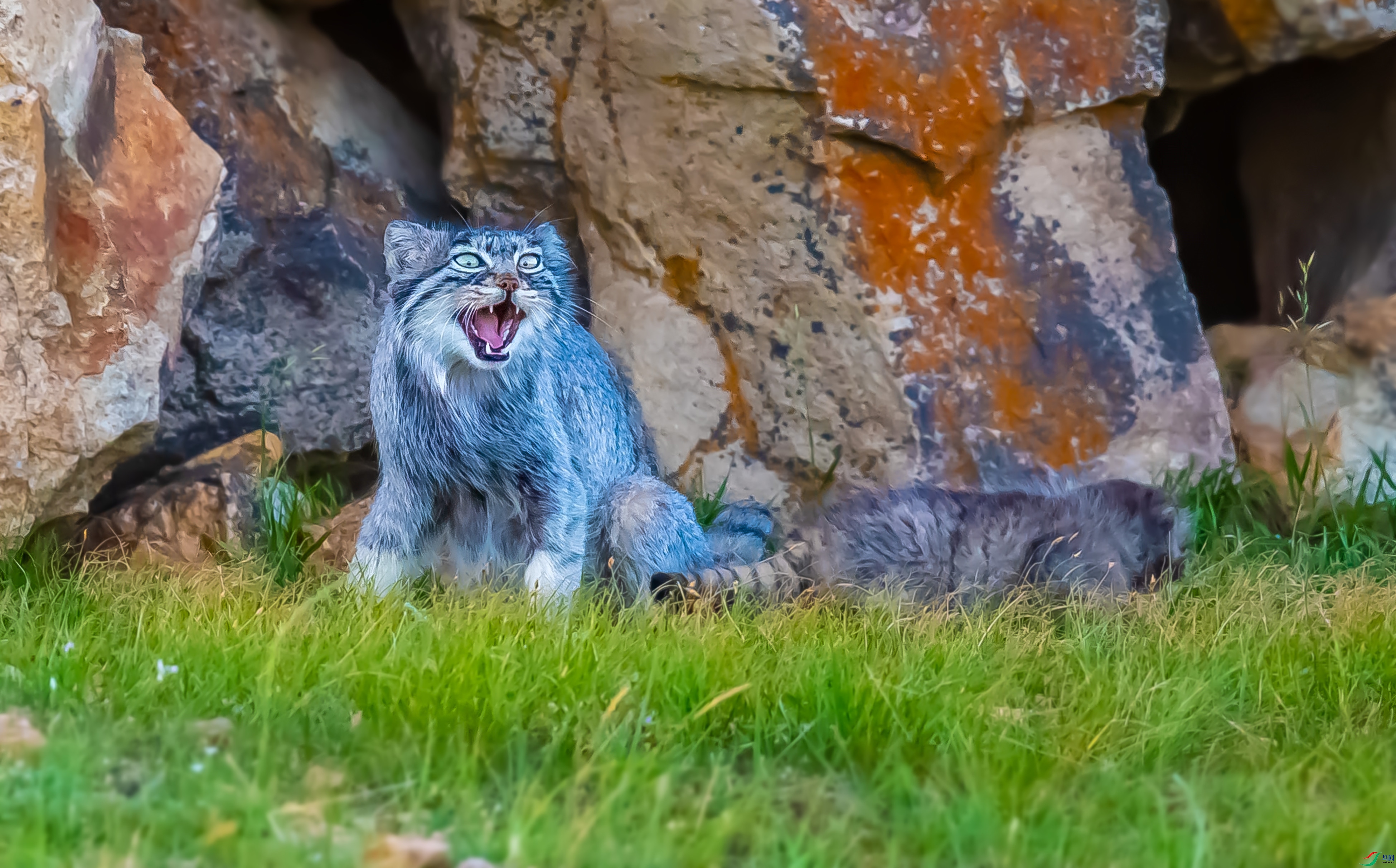 DSC_7963.jpg