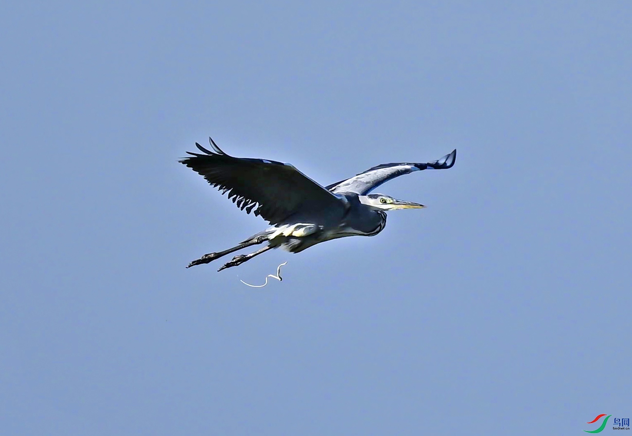 _DSC4503f.jpg