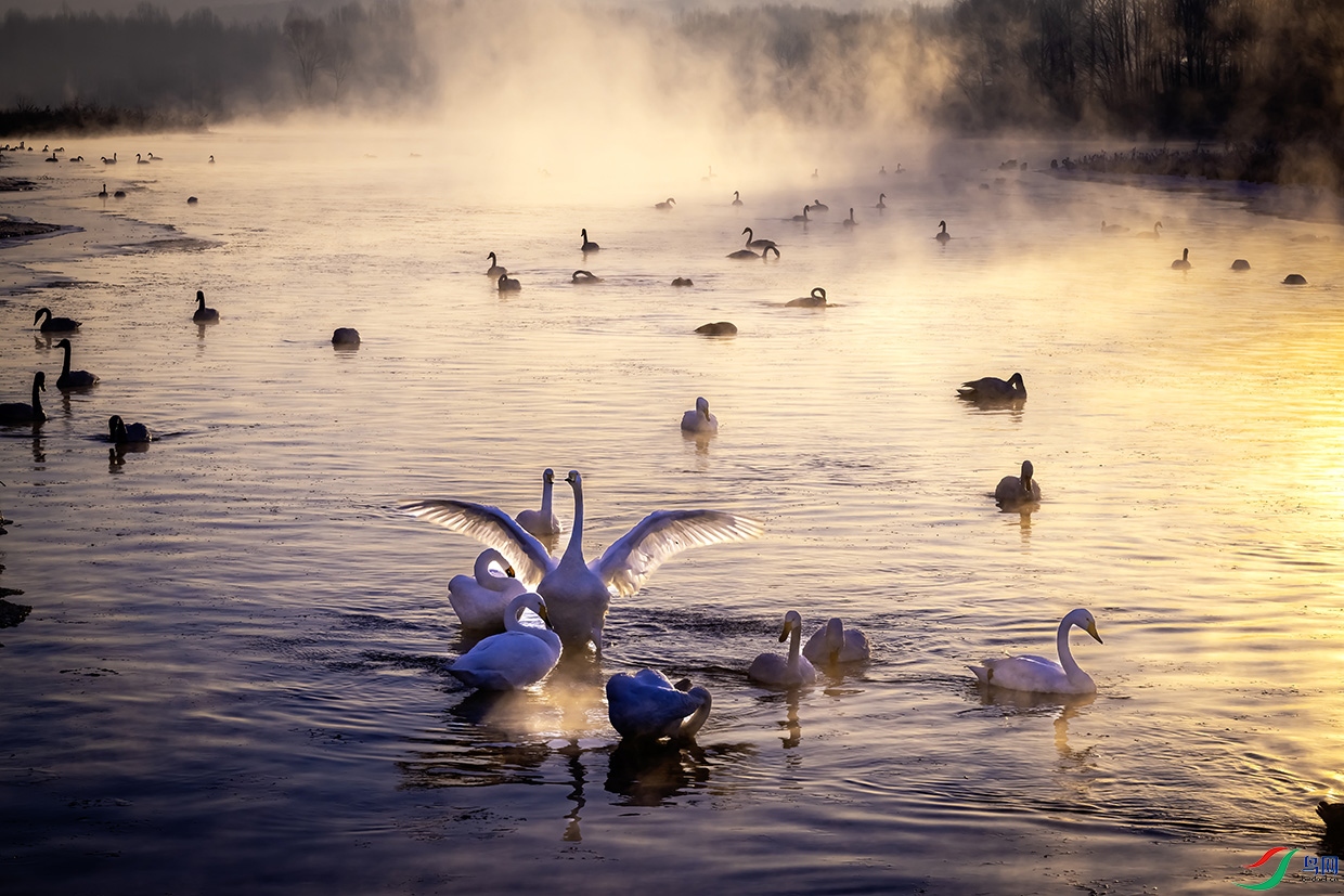 �峿�������