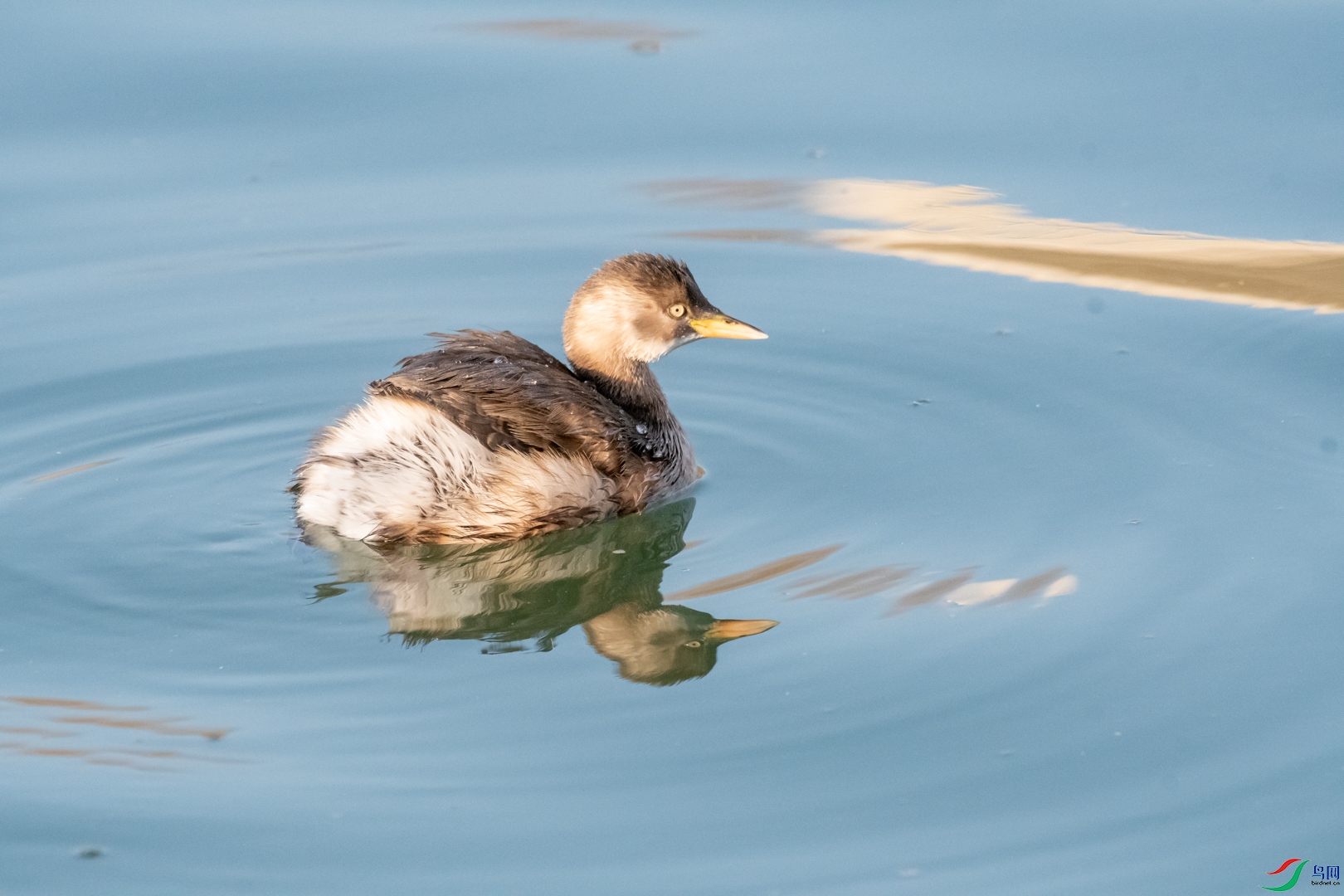 DSC_4774.jpg
