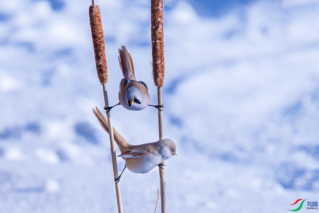 hljdqR231222 (2313).jpg