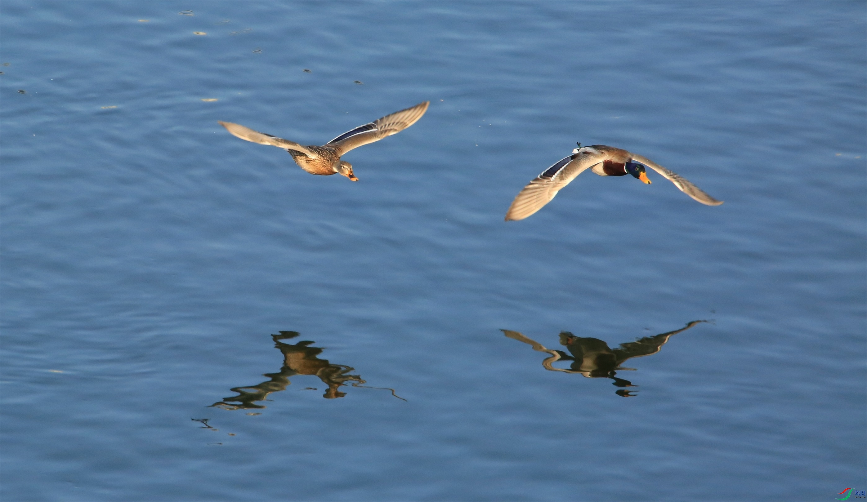 646A0447_110 ���  ��.jpg