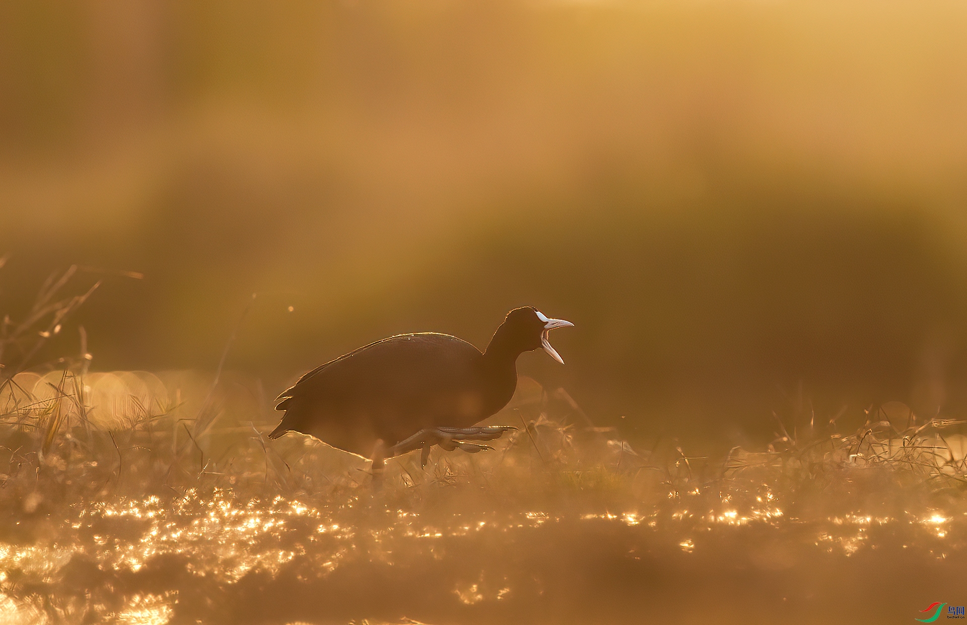 A75A8543-�༭ ����.jpg