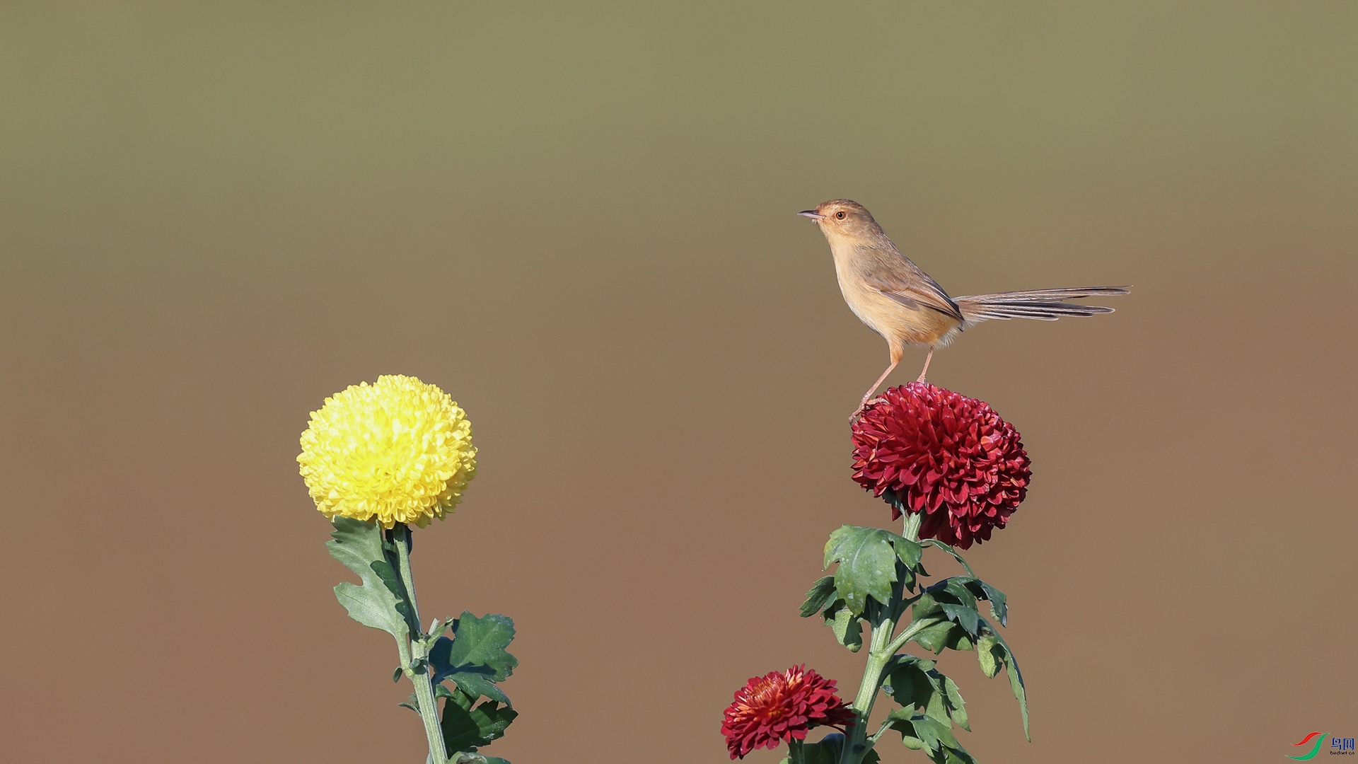 1M6A9978 ����_����.jpg