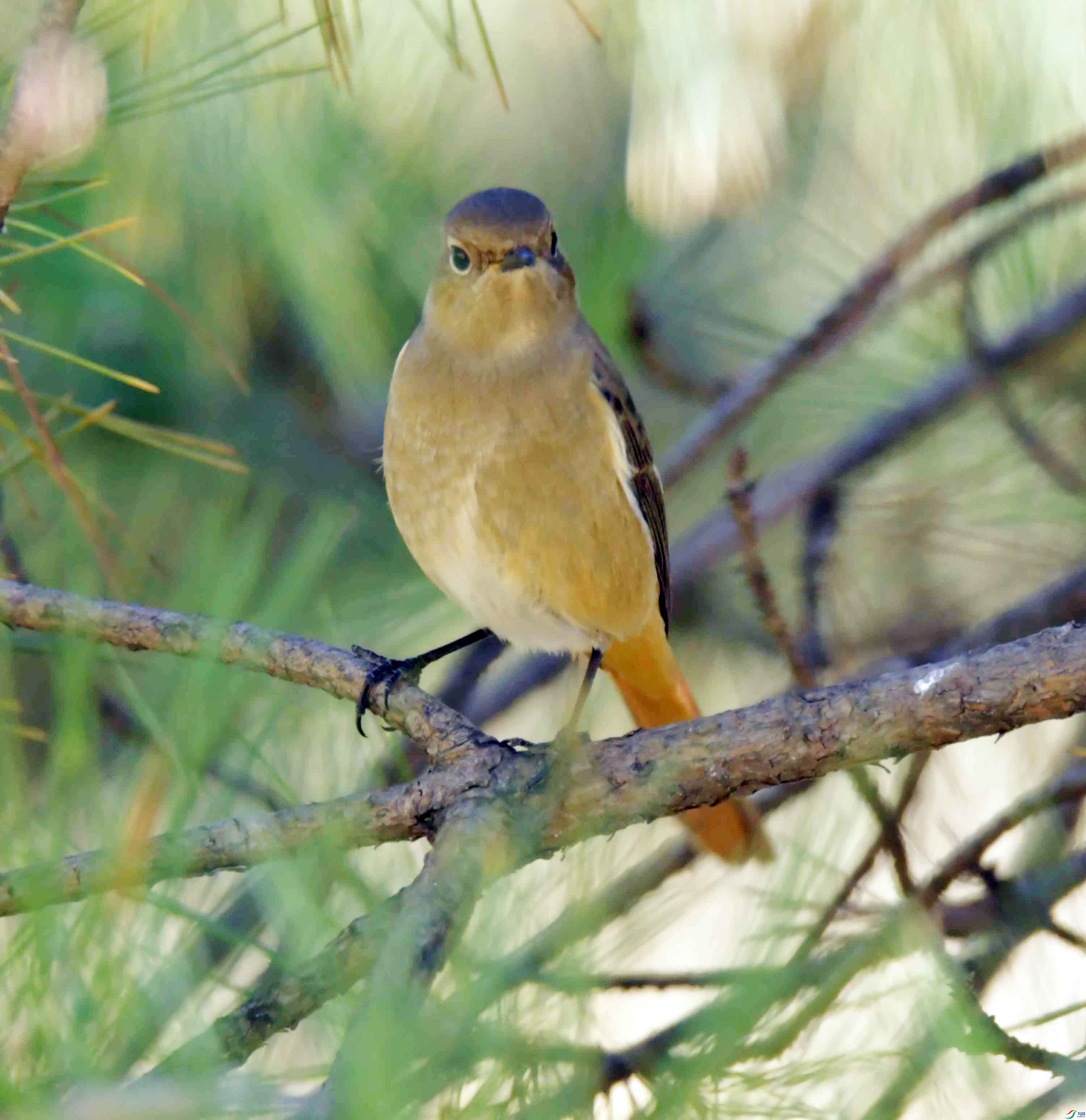 DSC_7294.JPG