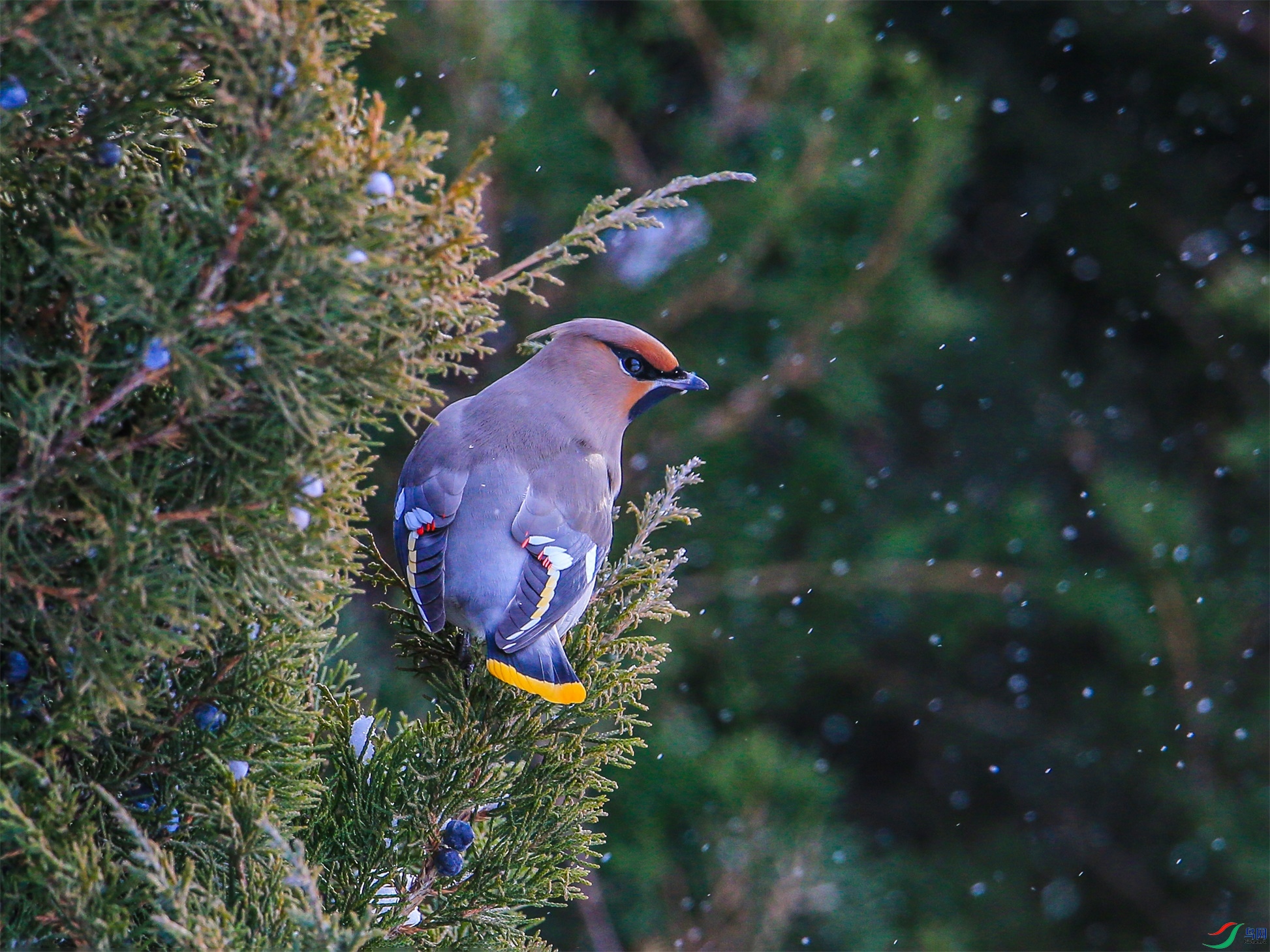 366 ����1.jpg