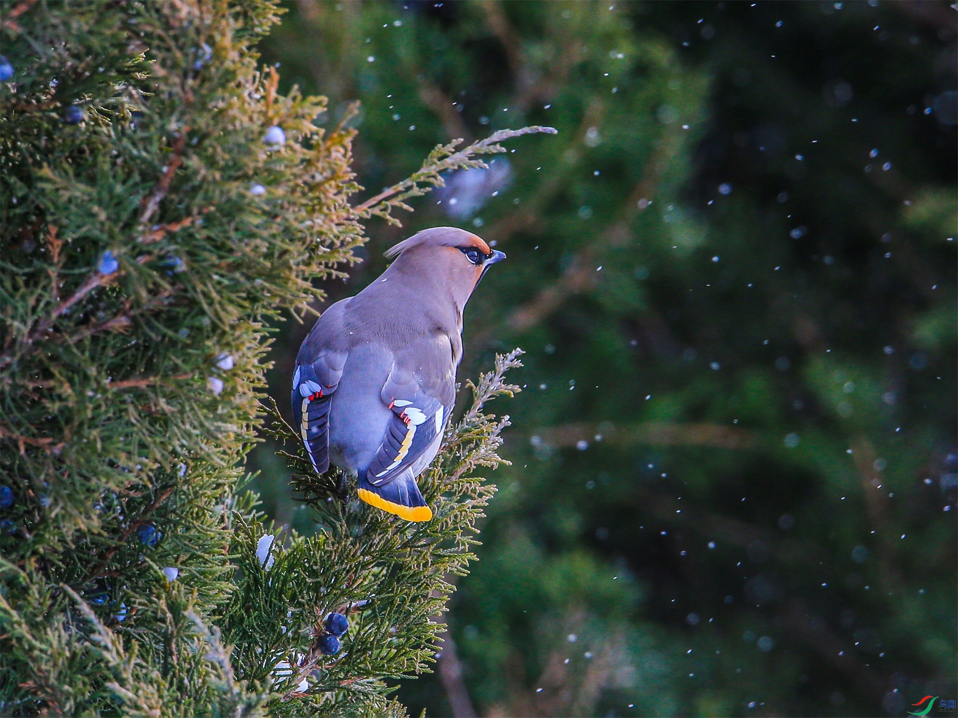 368 ����1.jpg