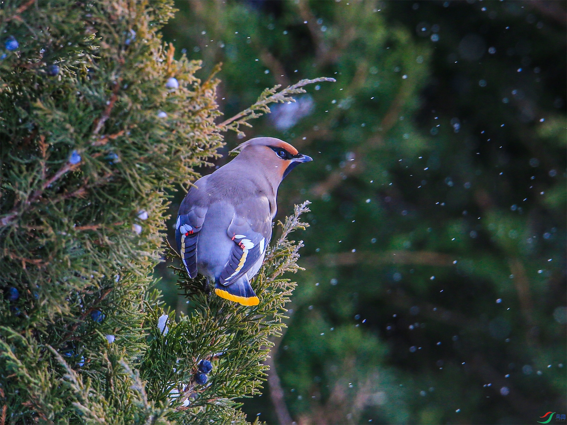 370 ����1.jpg