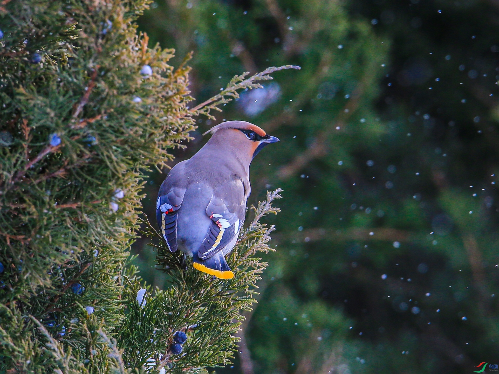 369 ����1.jpg