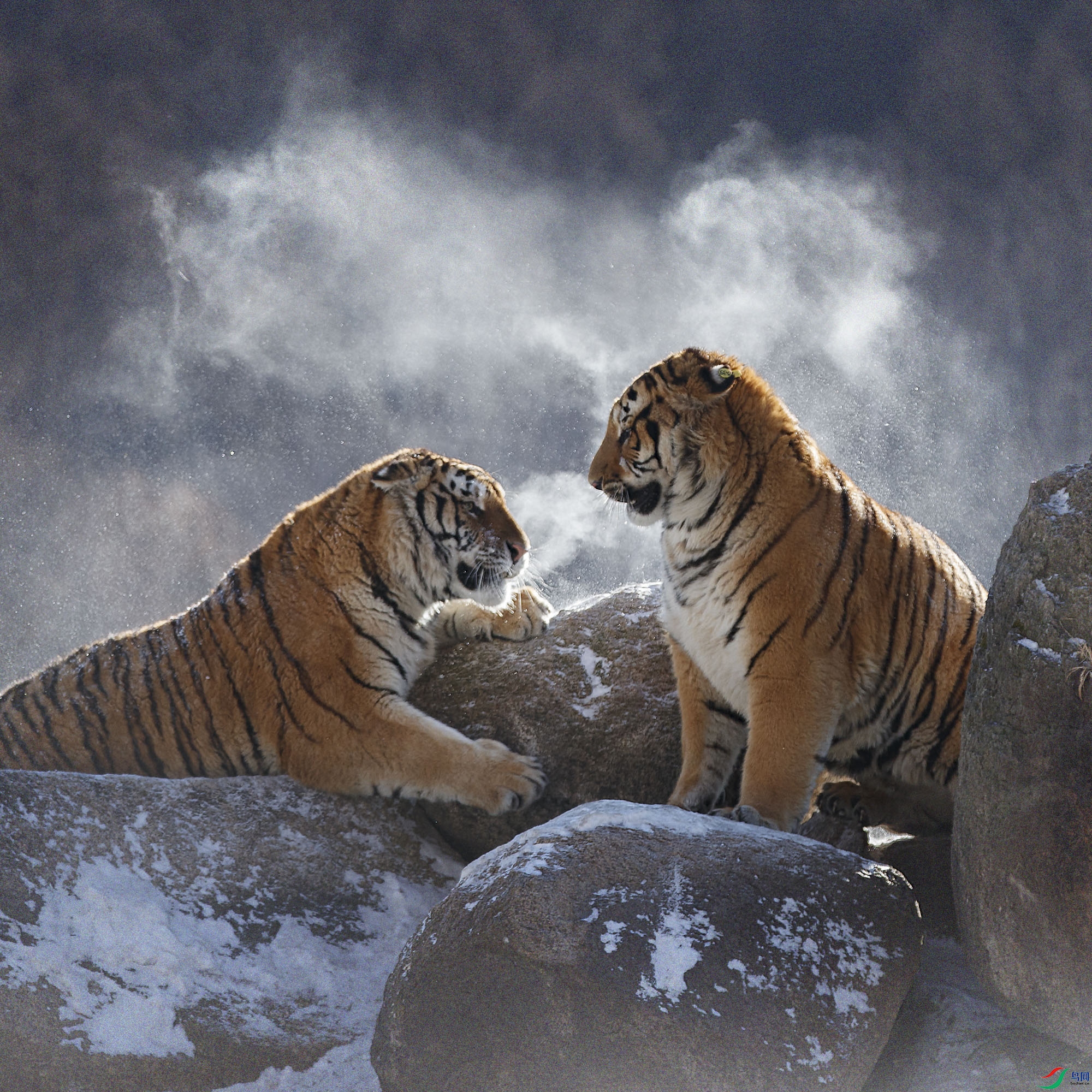 AQ9I5786 ����.jpg