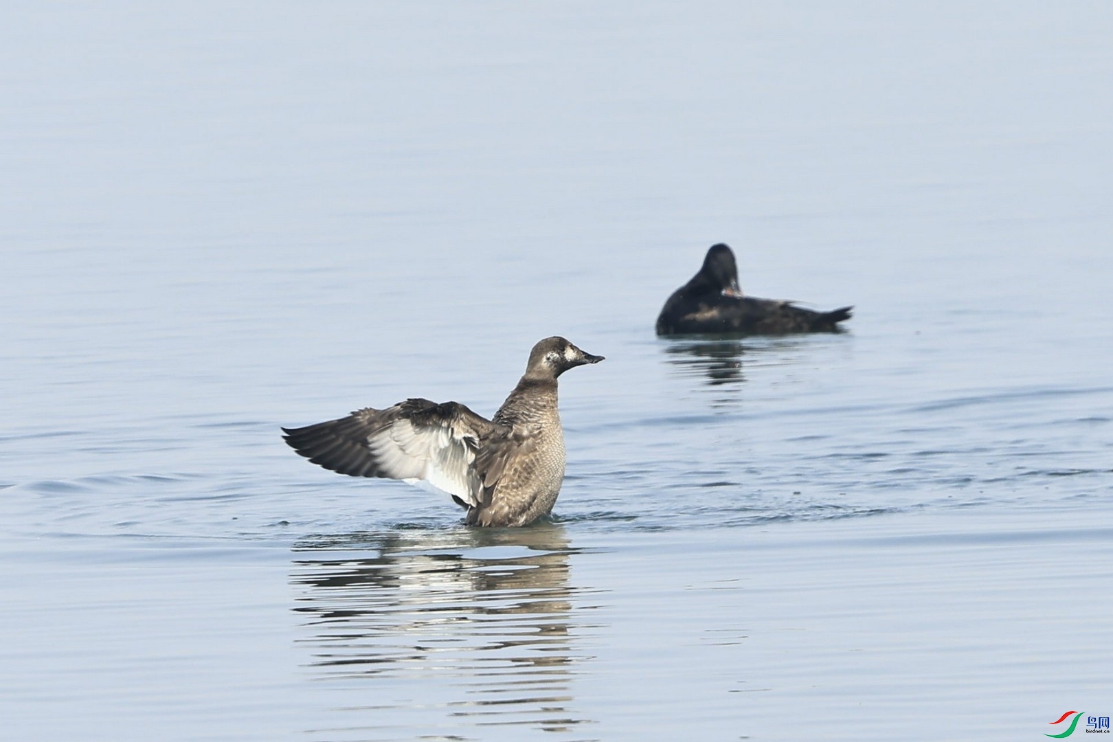 ѼѼ��  _98A0569.jpg