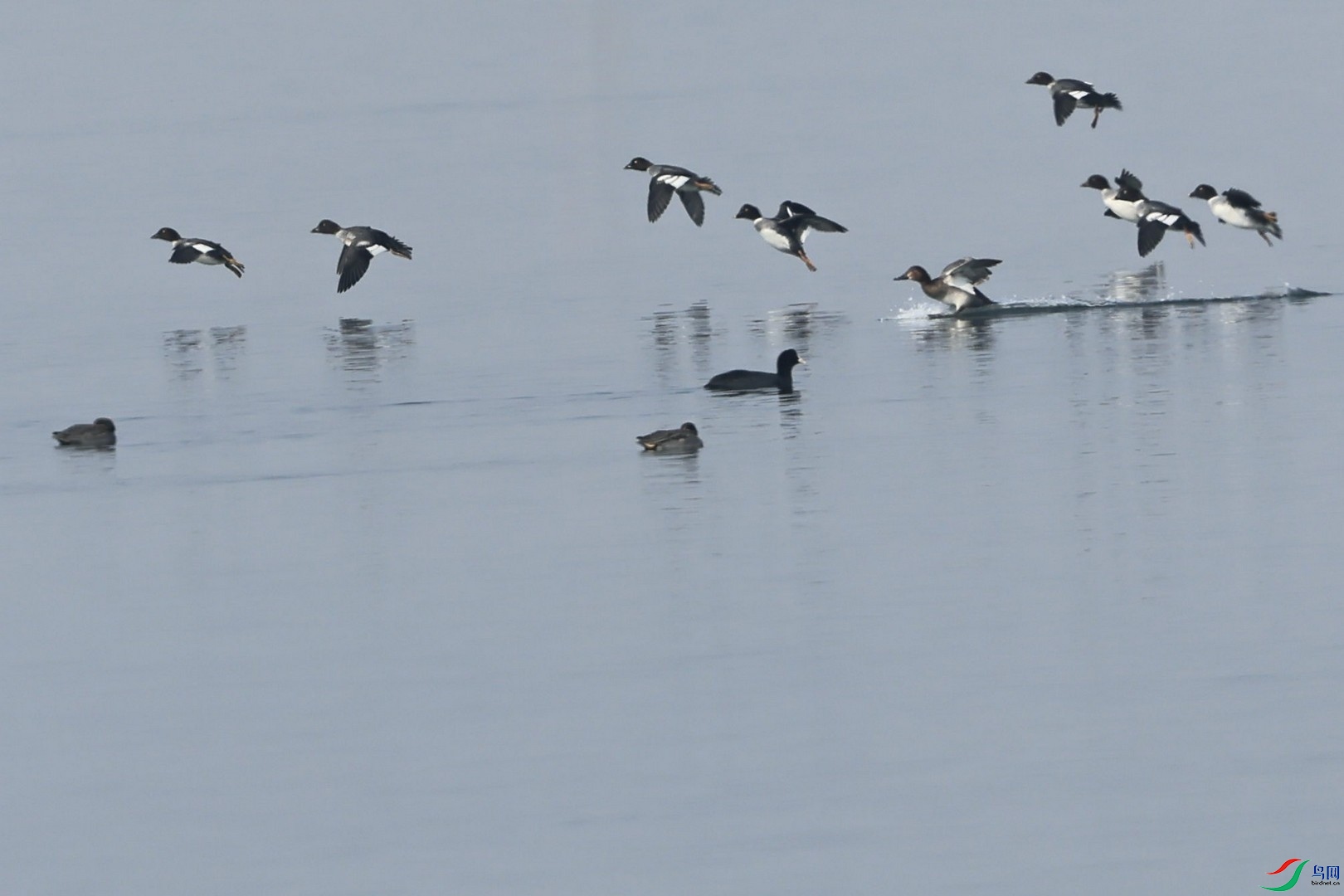 ѼѼ�� _98A0320.jpg