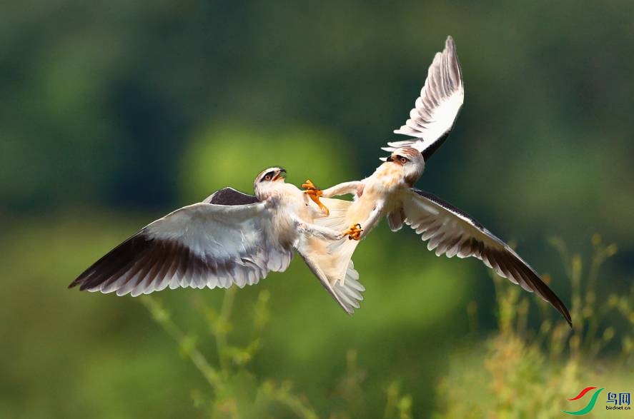 Mix_20231218_210017 (1).jpg