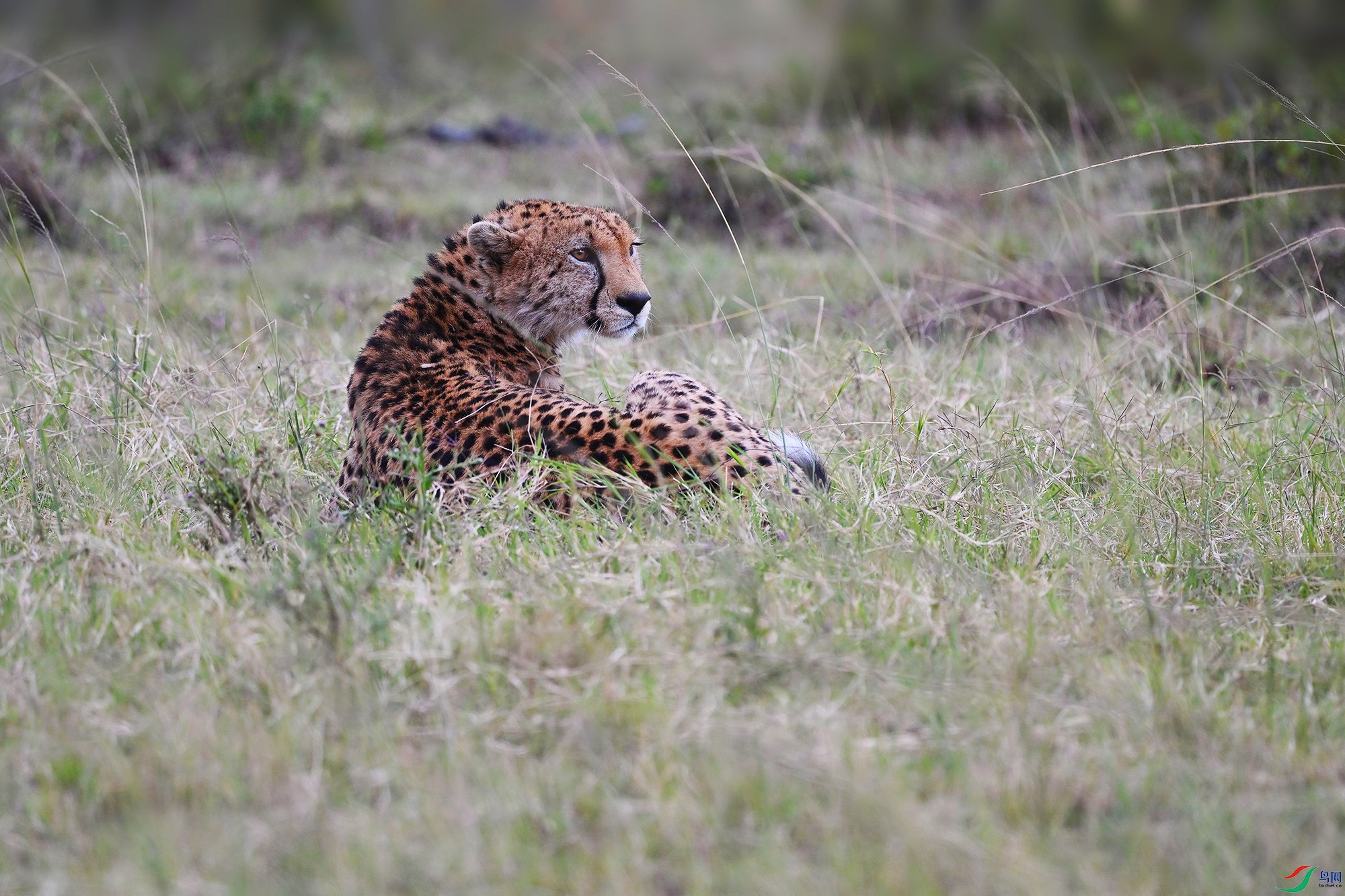 DSC_9198_.jpg