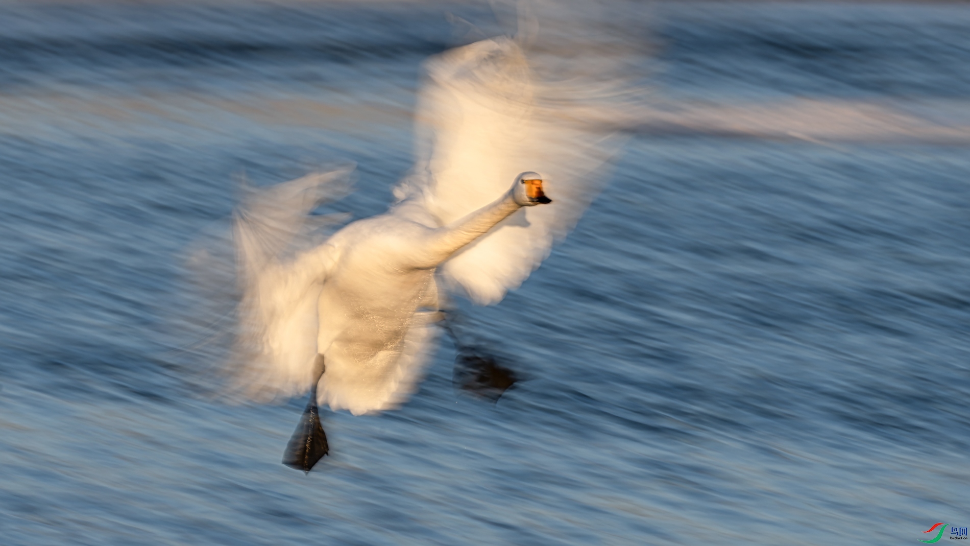 DSC01454-ARW-1-1-3.jpg