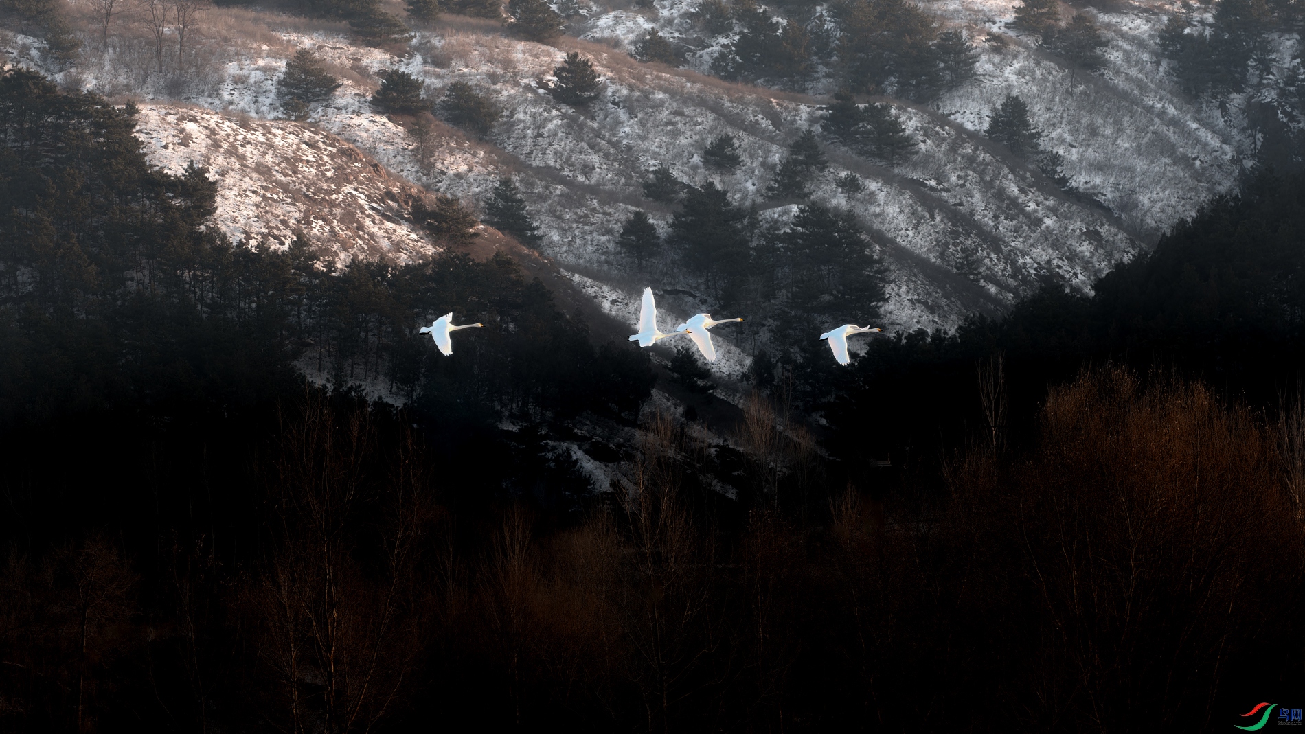 DSC03076-ARW-2-1.jpg