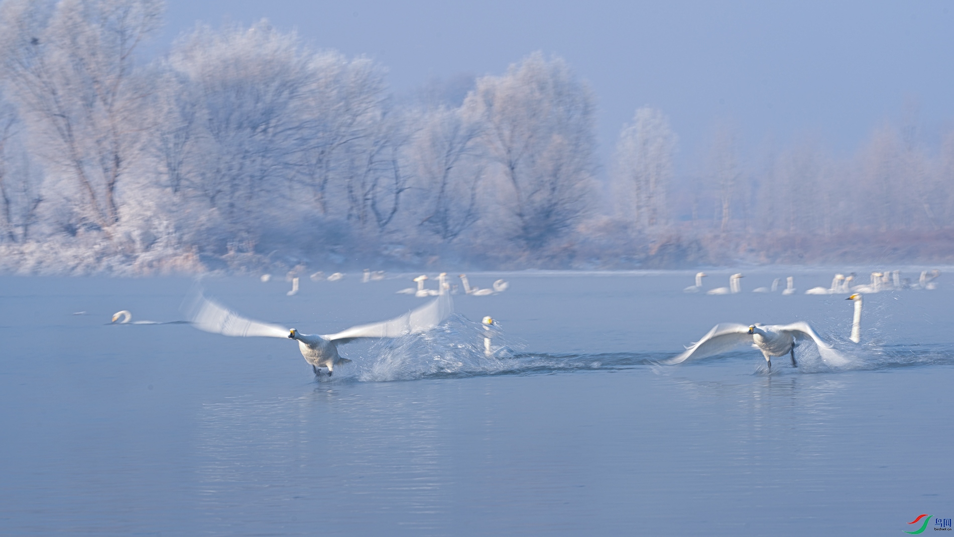 DSC02250-ARW-1-1-1.jpg