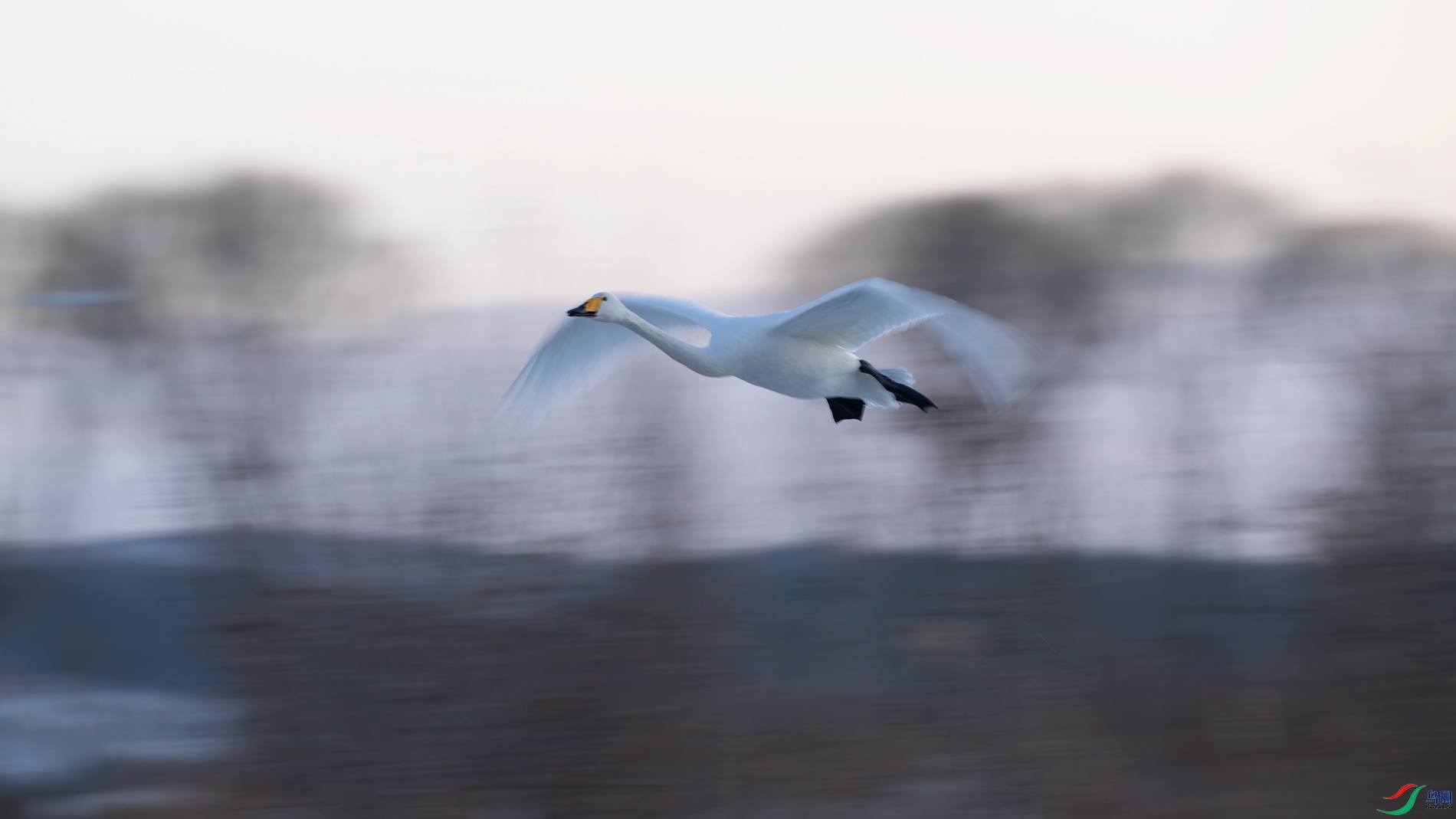 DSC03161-ARW-1-1.jpg