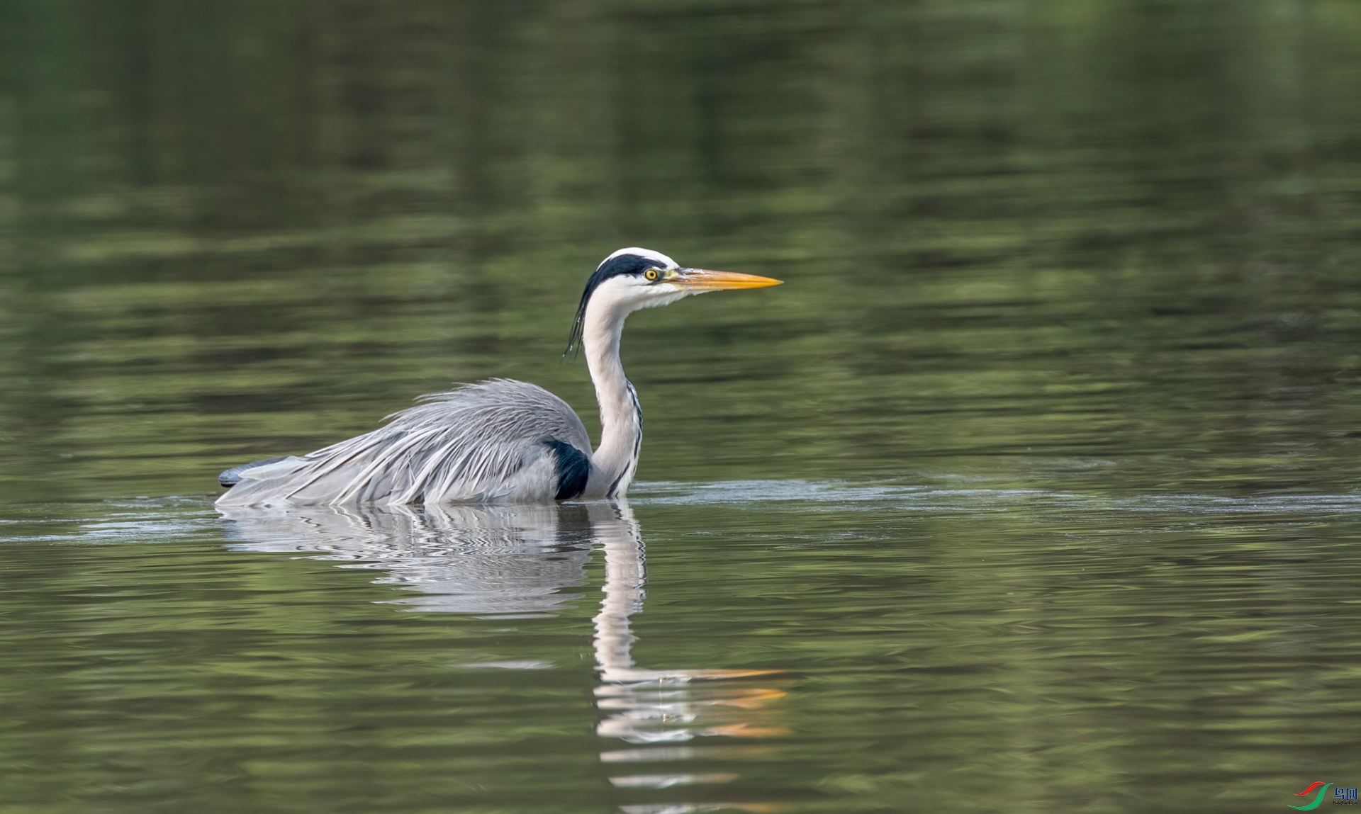 DSC_0401.jpg