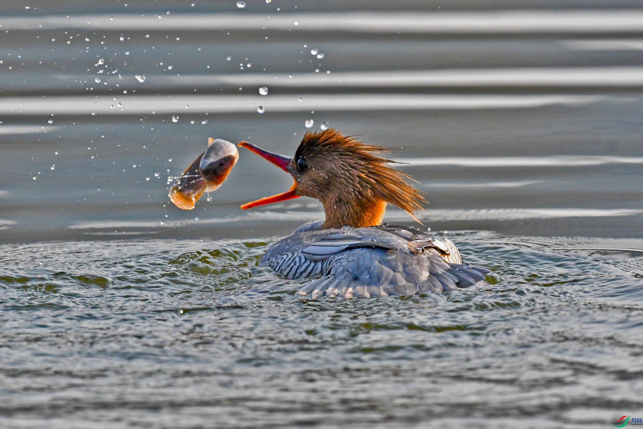 DSC_5453 ���� 2.jpg