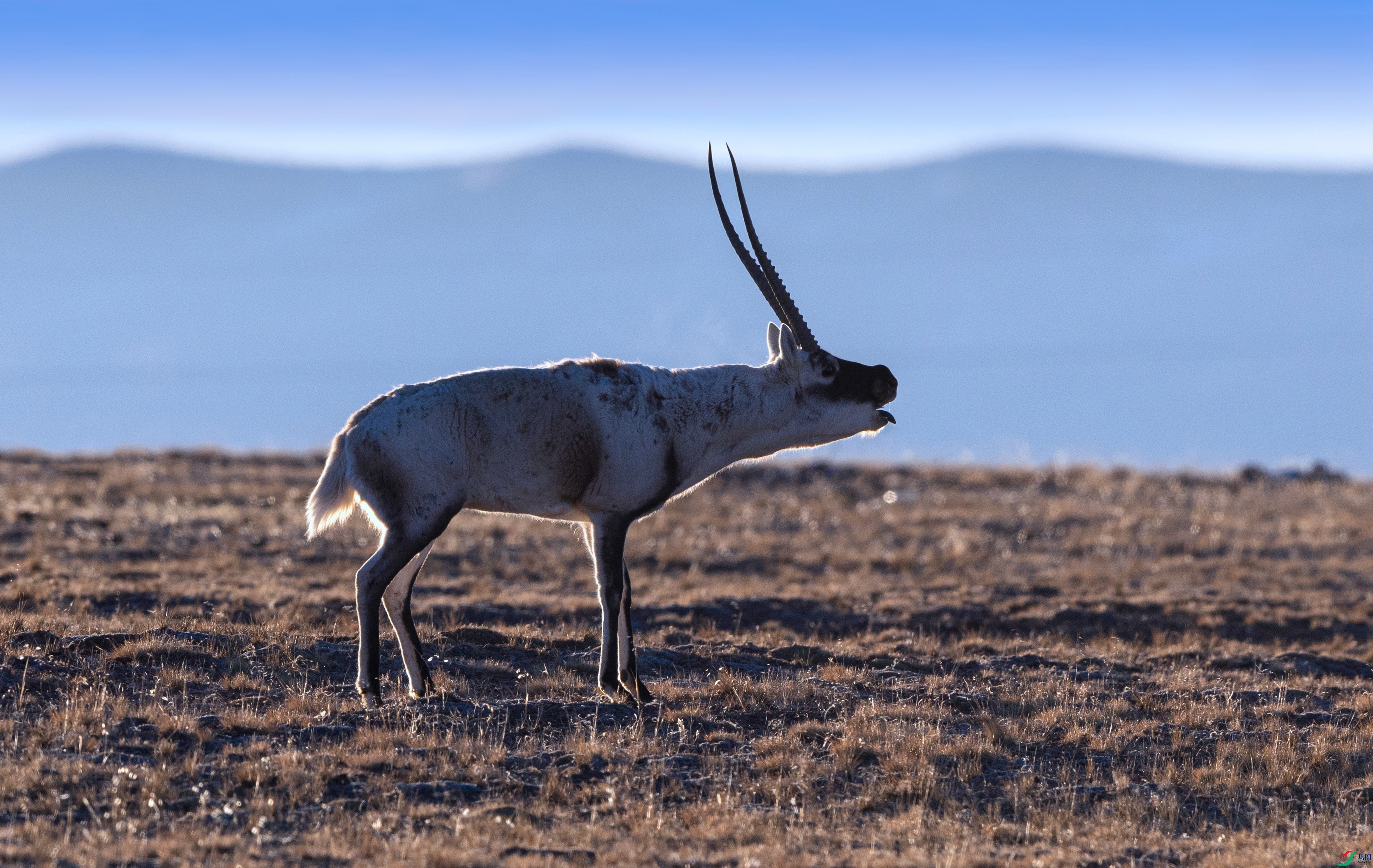 7X5A0151 - ����.jpg